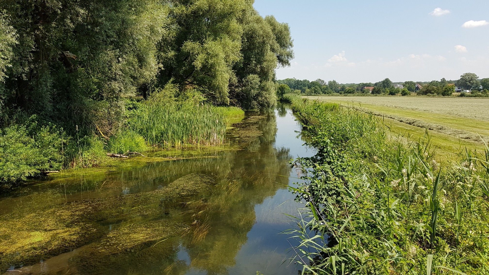 Moosach