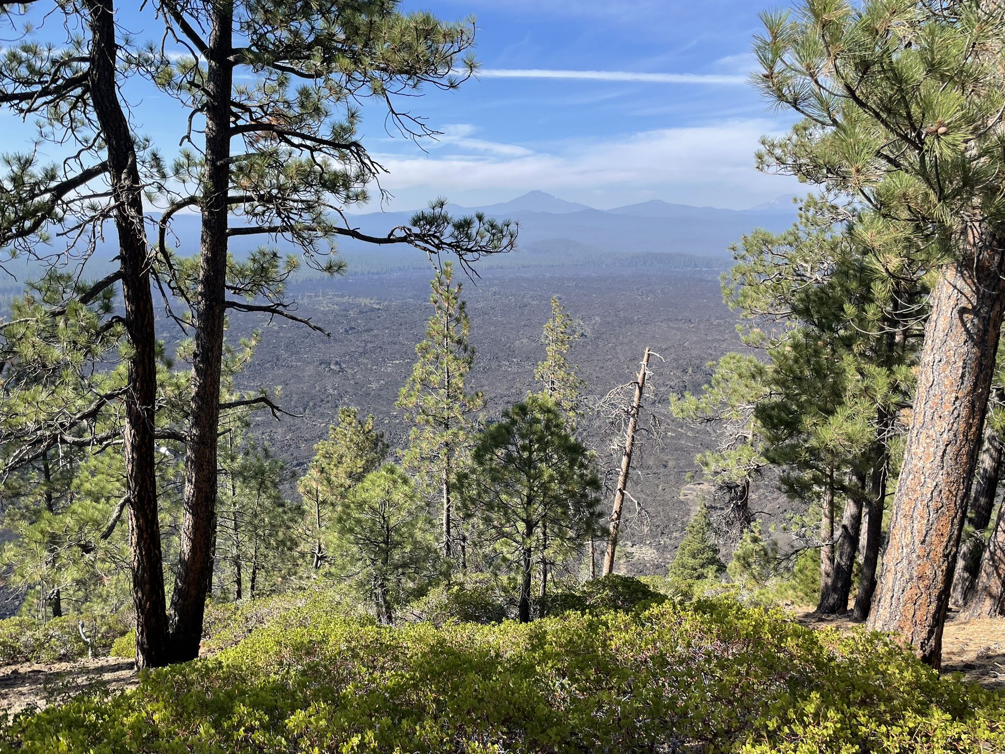 Forested landscape with pine trees, overlooking a dark, rocky plain and distant mountains. - Lava Butte Trail Loop