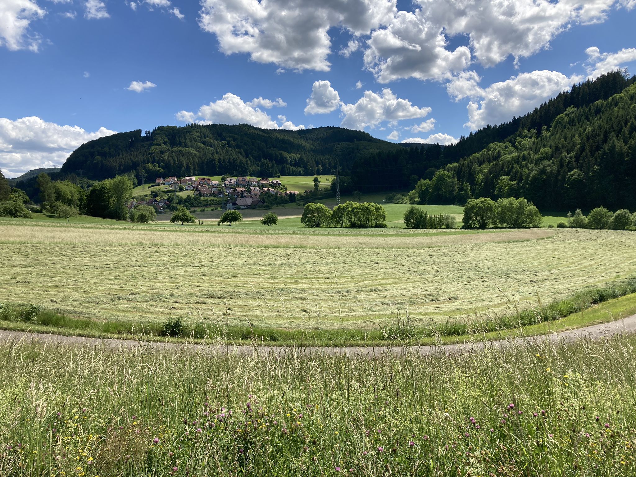 leeres Rückhaltebecken