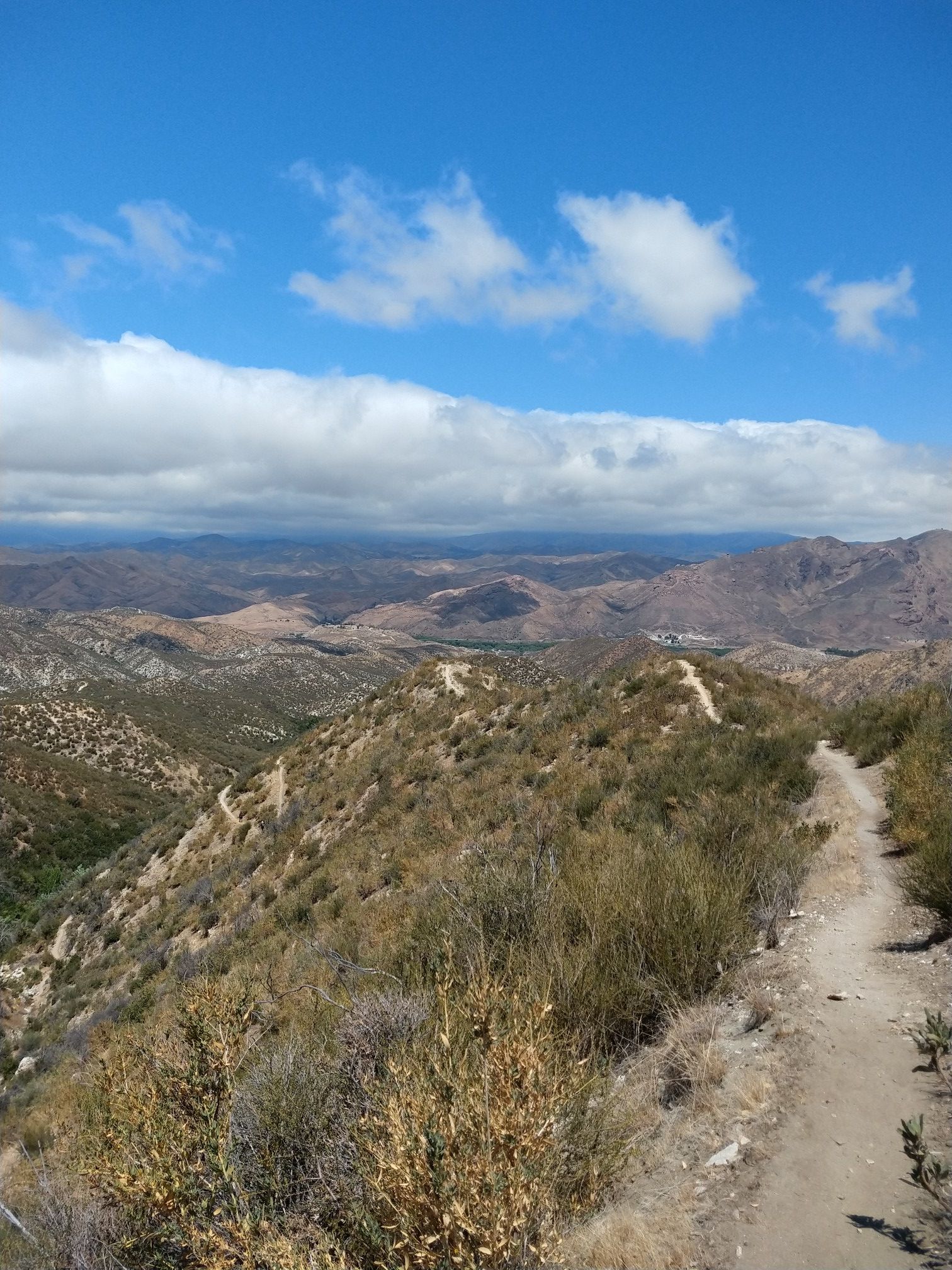 Dirt trail winding through arid, brush-covered hills under a cloudy sky. - Pacific Crest Trail: Soledad Canyon to North Fork