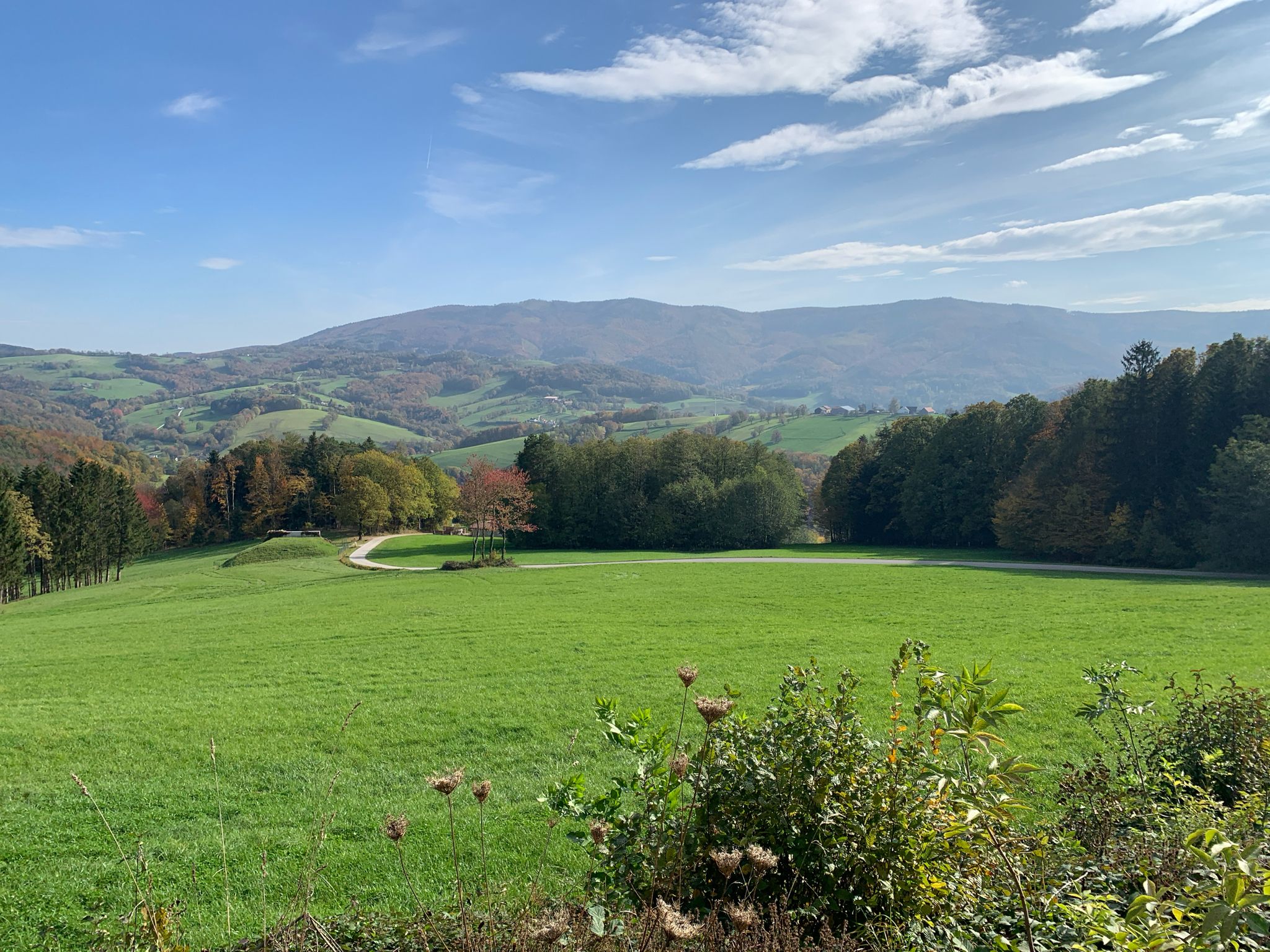 Blick Richtung Schöpfl höchste Erhebung im Wienerwald 893 Meter