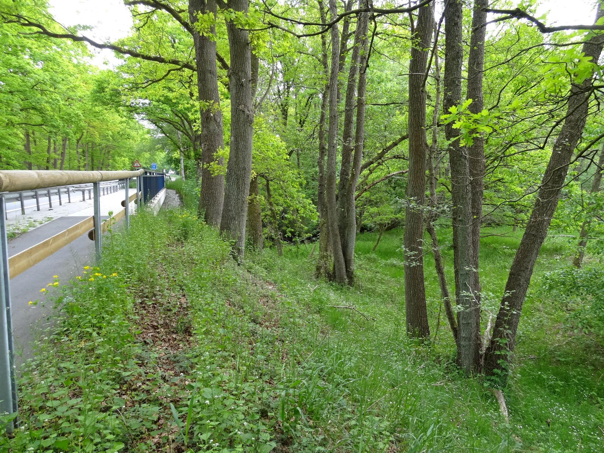 Este Brücke B75