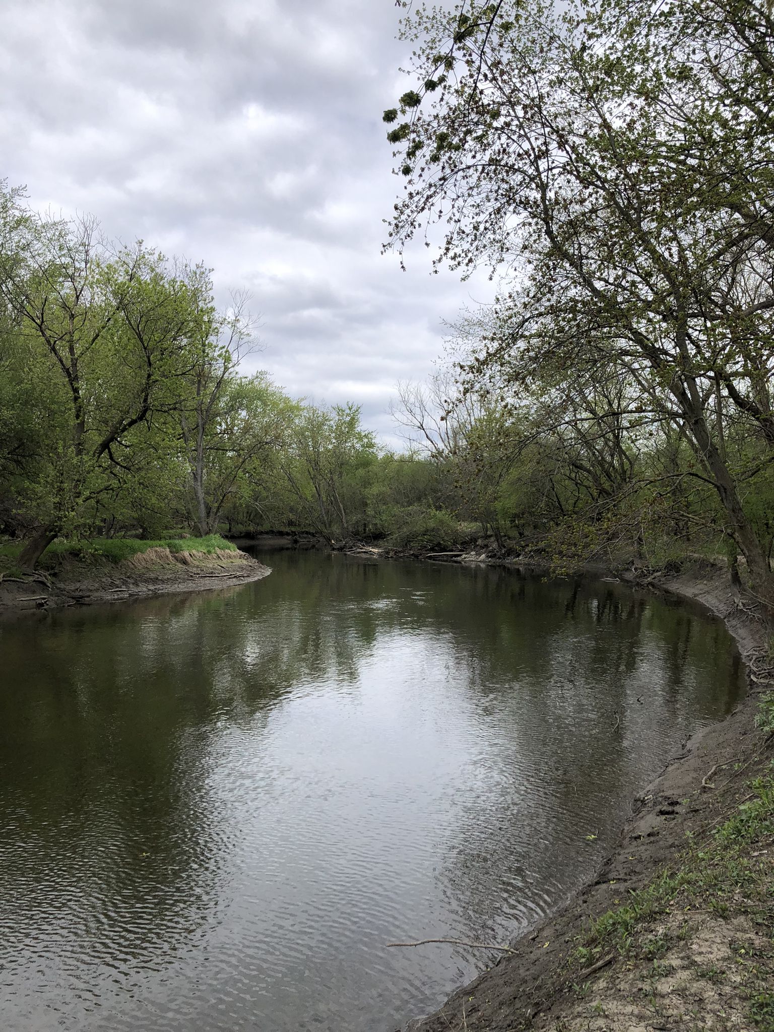 Winding river surrounded by lush green trees under an overcast sky. - Salt Creek Greenway Trail