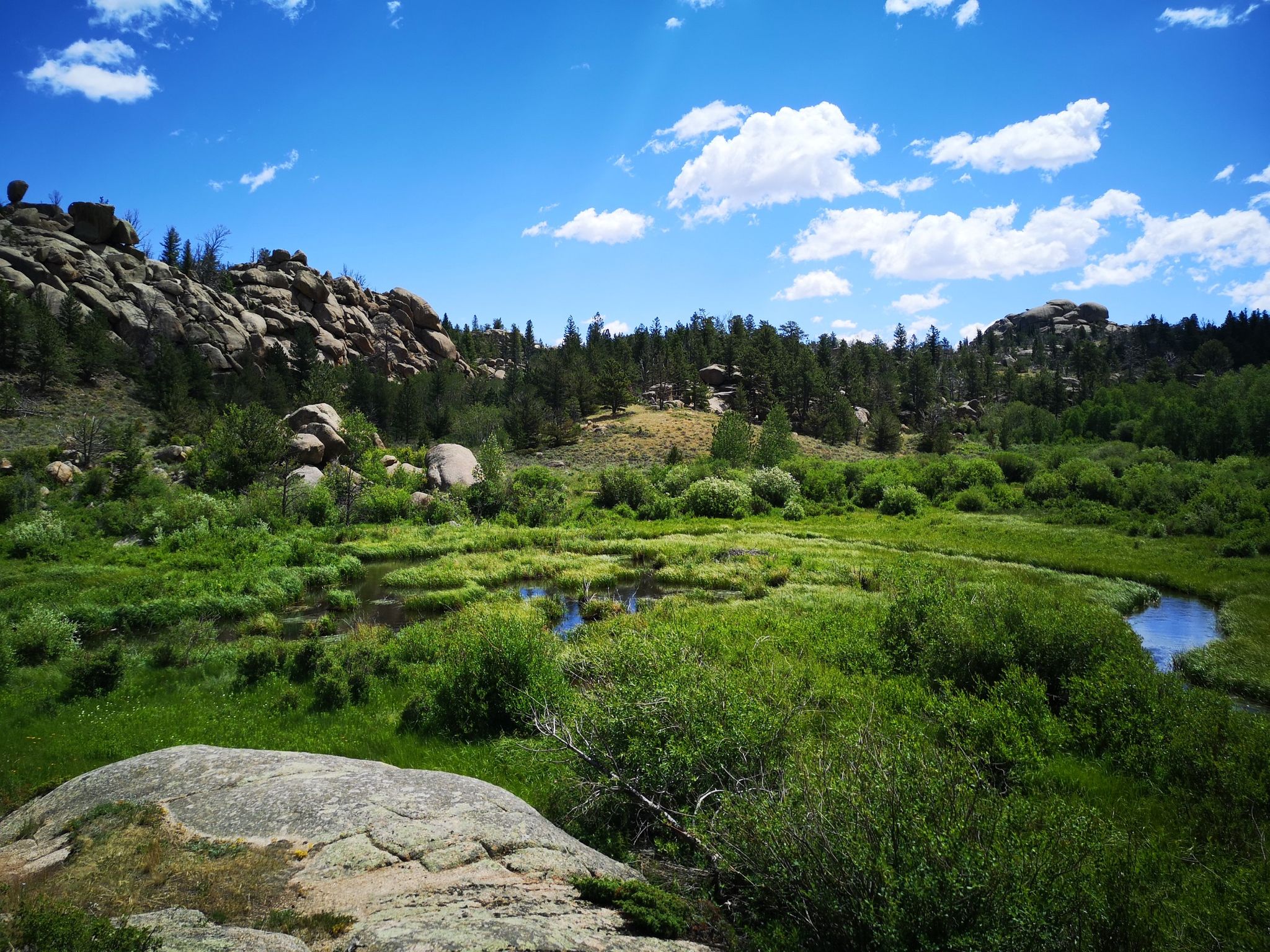 Expansive green meadow with a winding stream, rocky hills, and a bright blue sky. - Reynolds Hill Loop trail run