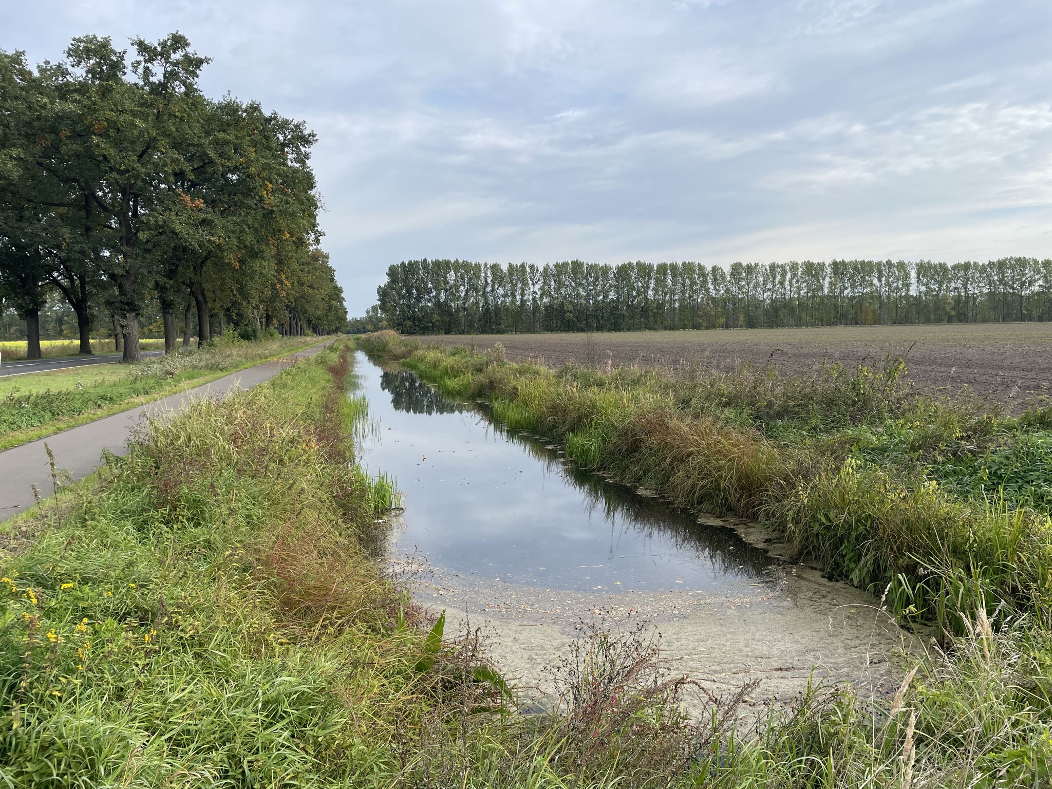 Entwässerungsgraben: Neuholland ist nicht weit u. die Spuren der Oranier noch heute sichtbar.