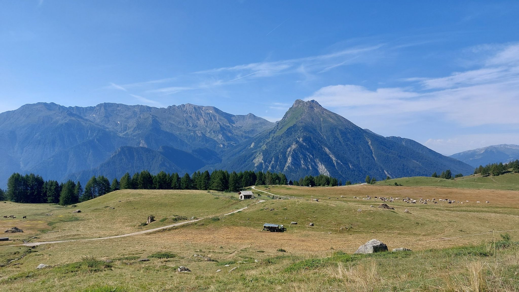 Pian dell'Alpe