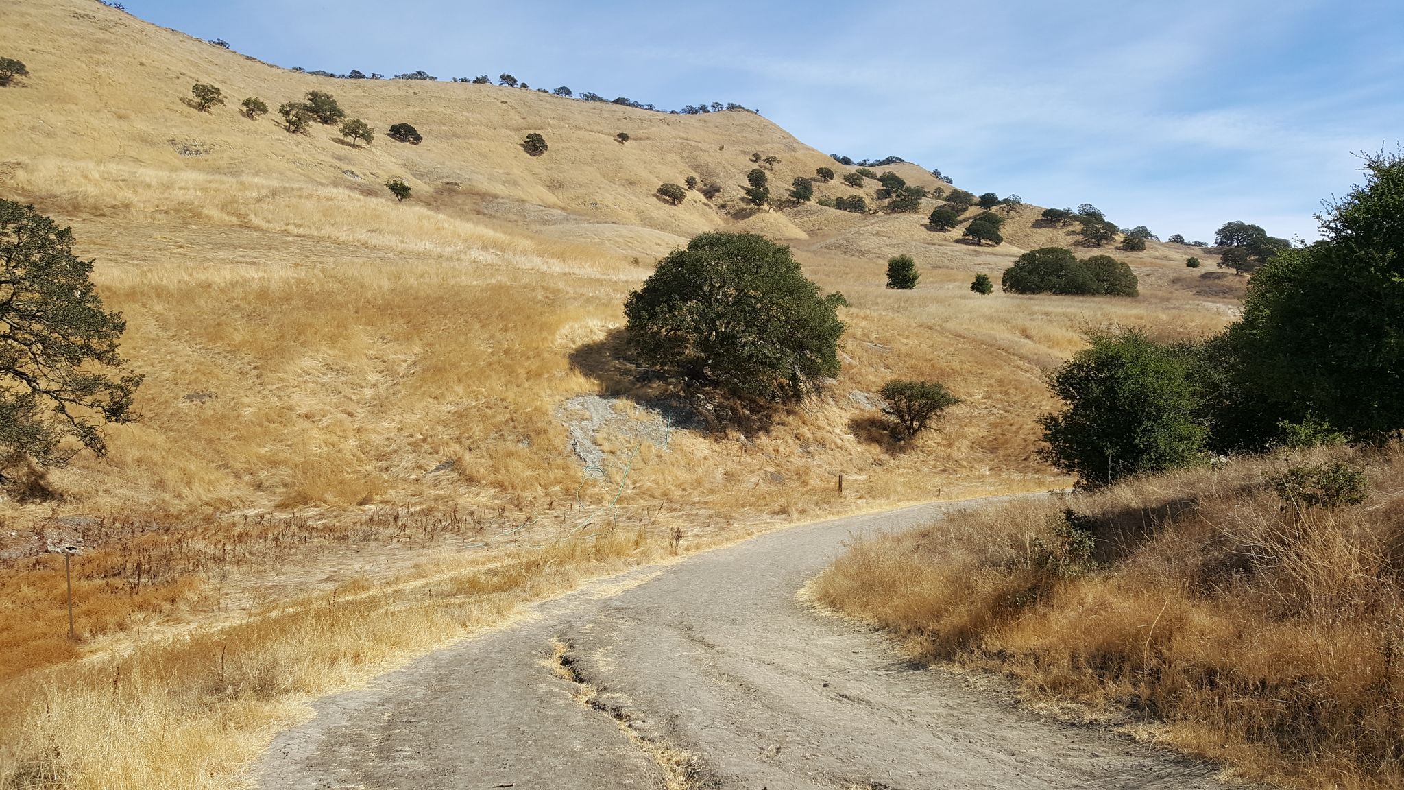 Cracked paved road winding through dry golden hills under a clear sky. - Kovar and Ridge Top Trail Loop