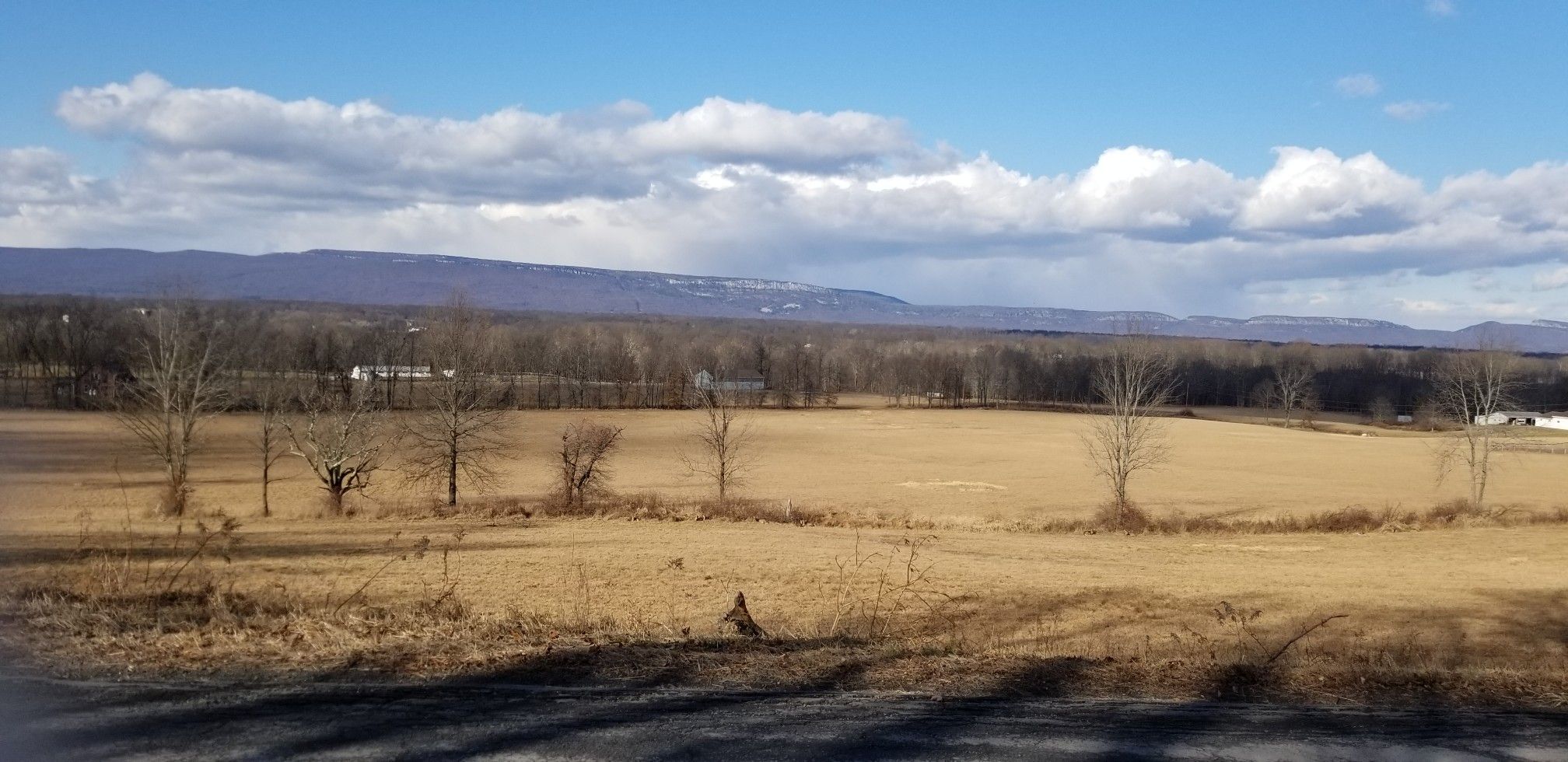 Vast golden field with bare trees, distant mountains, and a cloudy blue sky. - Skydive the Ranch loop from Watchtower
