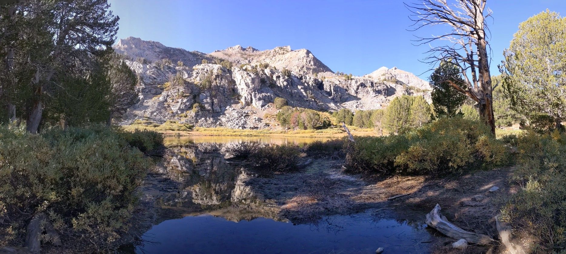 Calm lake reflecting rocky mountains and pine trees under a bright blue sky. - Lamoille Lake Loop