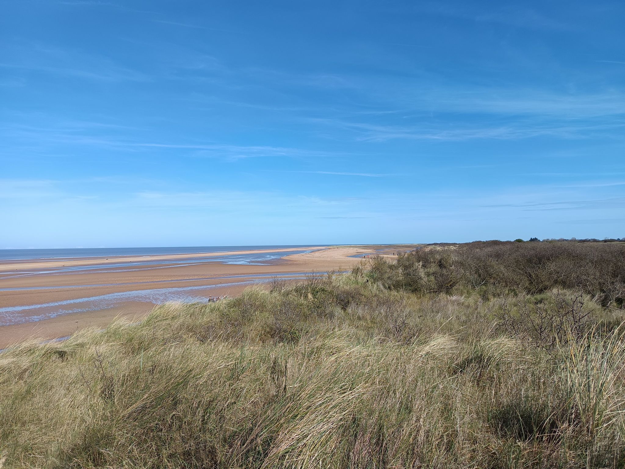 the beach 