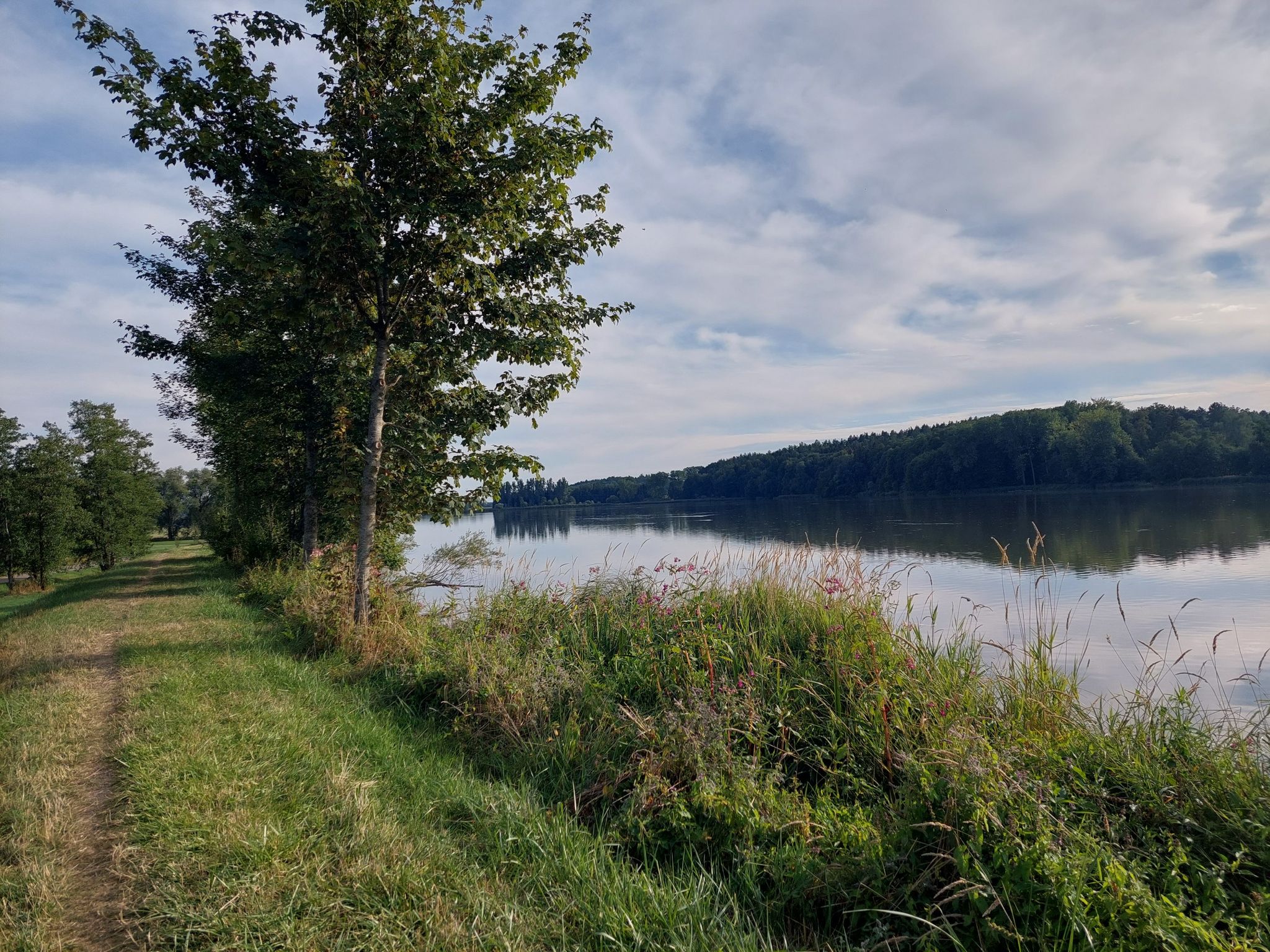 Günzstausee