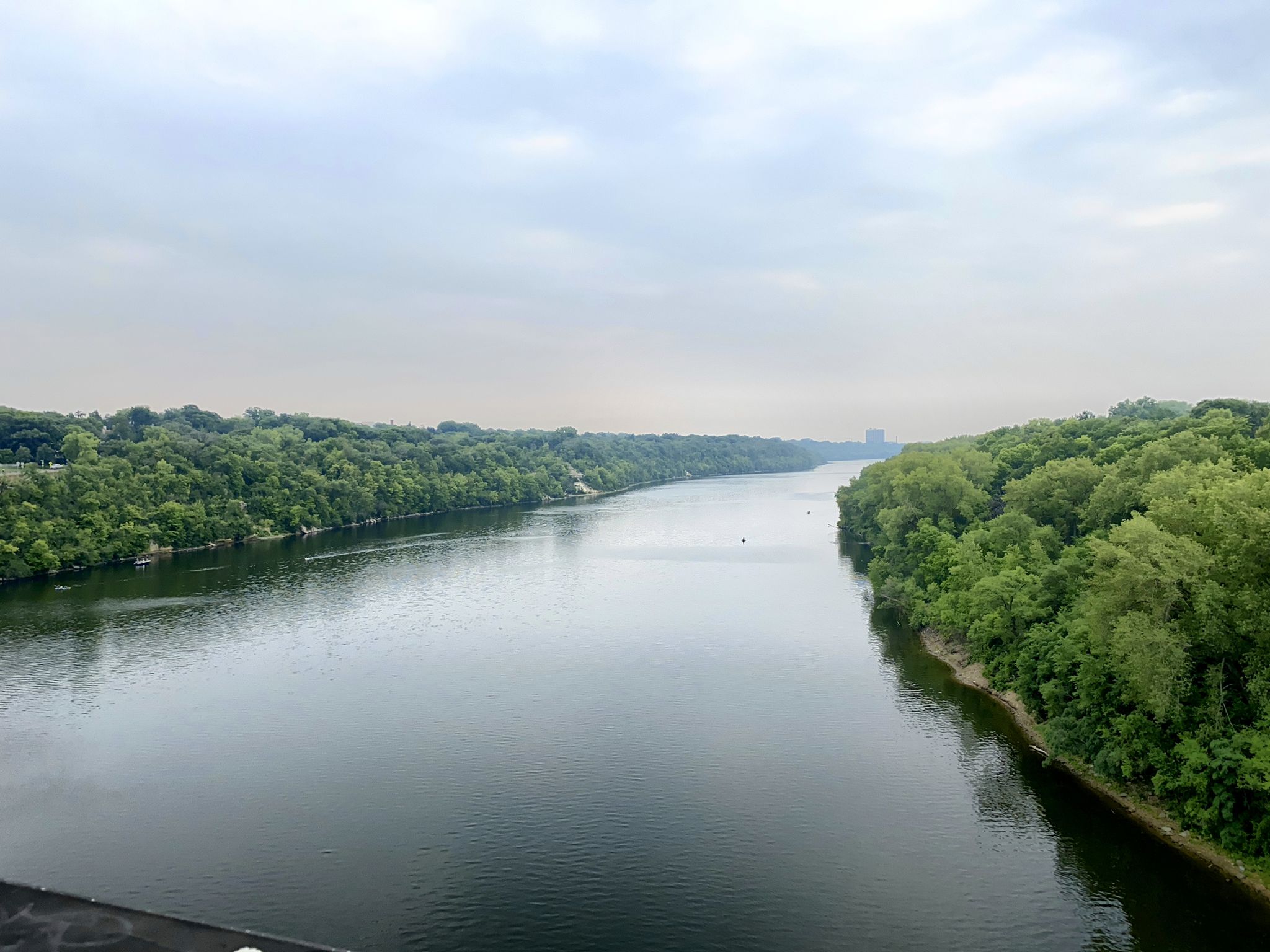 Wide river flowing between lush green forests under an overcast sky. - Mississippi Gorge Trail loop
