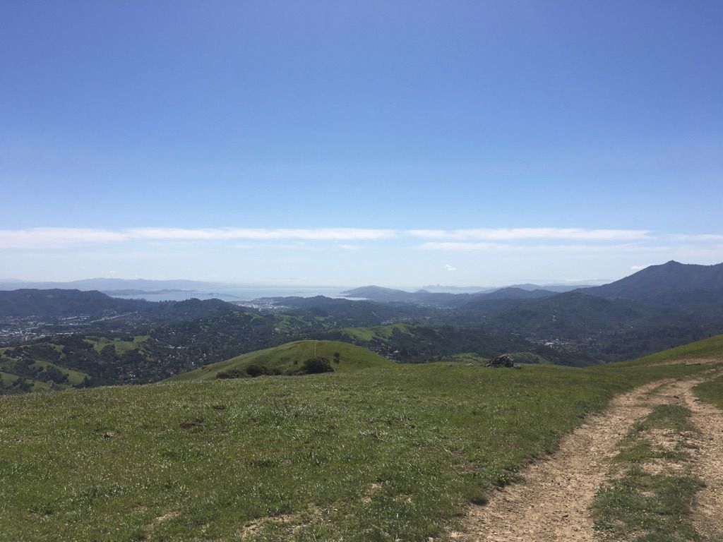 Vast green hills and distant city under a clear blue sky, with a dirt path. - Loma Alta and Bay Area Ridge Trail Loop