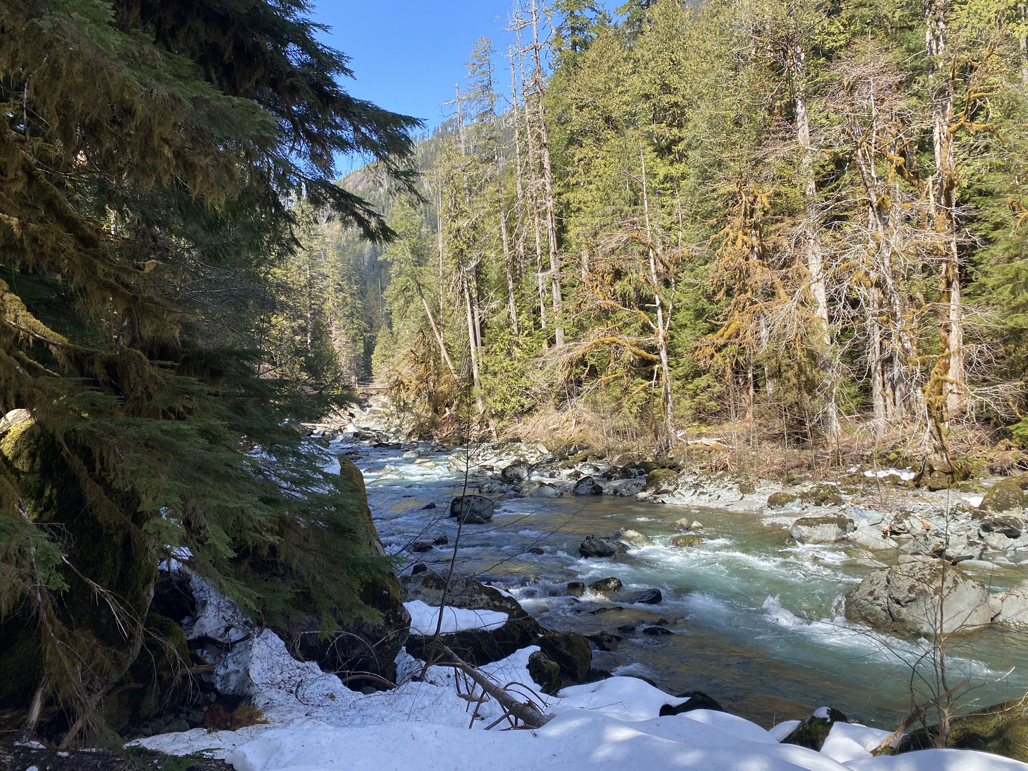 Rushing river in a forest with snow on the banks and bright sunlight. - Staircase Rapids Loop Trail