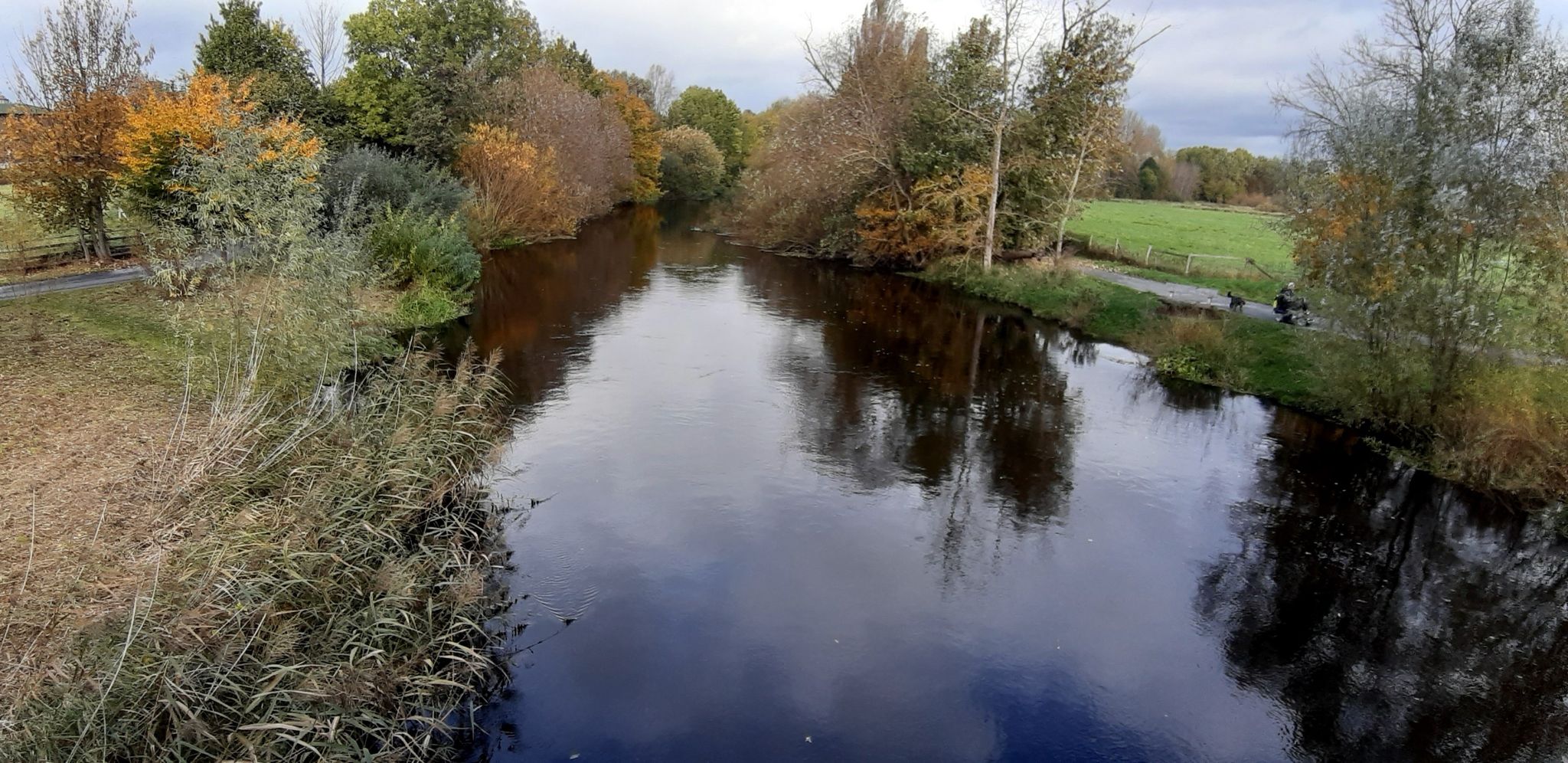 die Oker führt viel Wasser