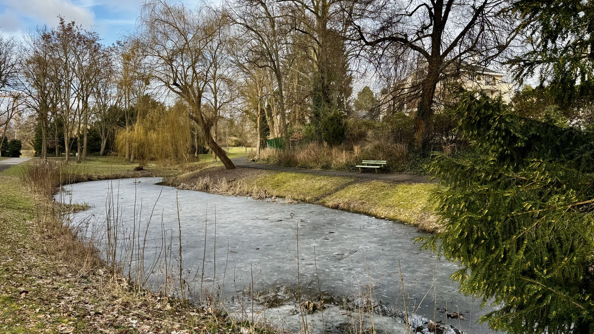 Thielpark / Schwarzer Grund - Teich