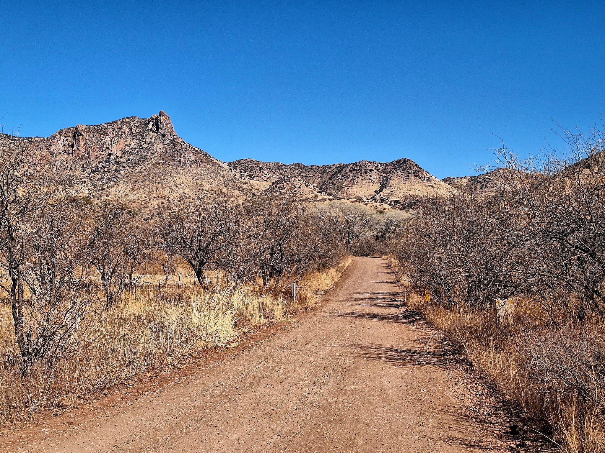 A dirt road leads towards dry mountains under a clear blue sky. - Patagonia – Harshaw Road Trailhead loop from Patagonia