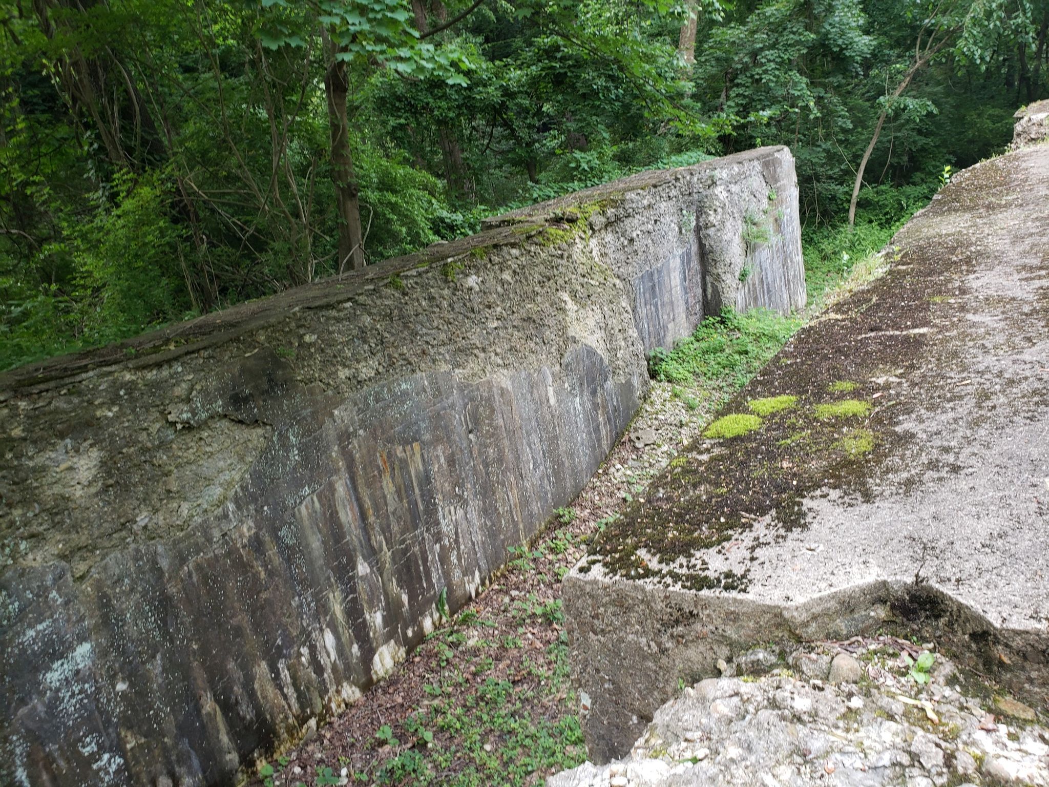 Mossy concrete walls of an old structure in a dense green forest. - Ohio & Erie Canal Towpath: Mustill to Memorial Parkway