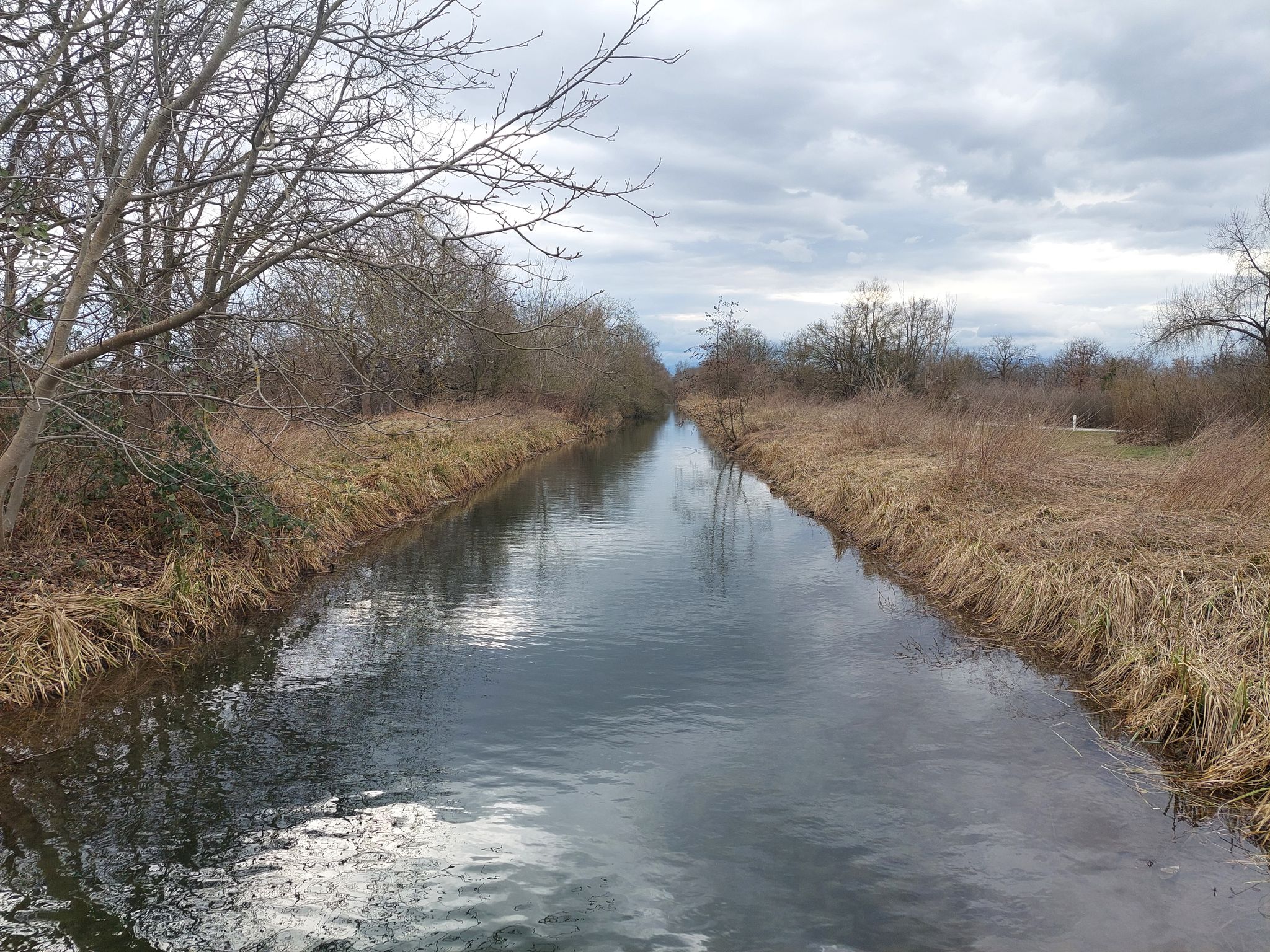 Canal Vauban bei Dessenheim