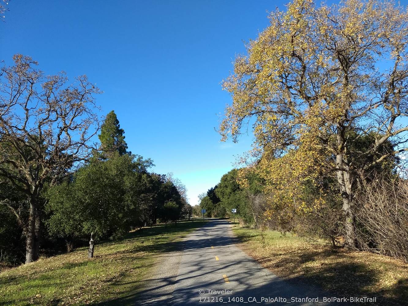 A paved road leads through a wooded area with trees and blue sky. - Los Altos-Palo Alto Bike Trail – Bol Park Path loop from San Antonio Shopping Center
