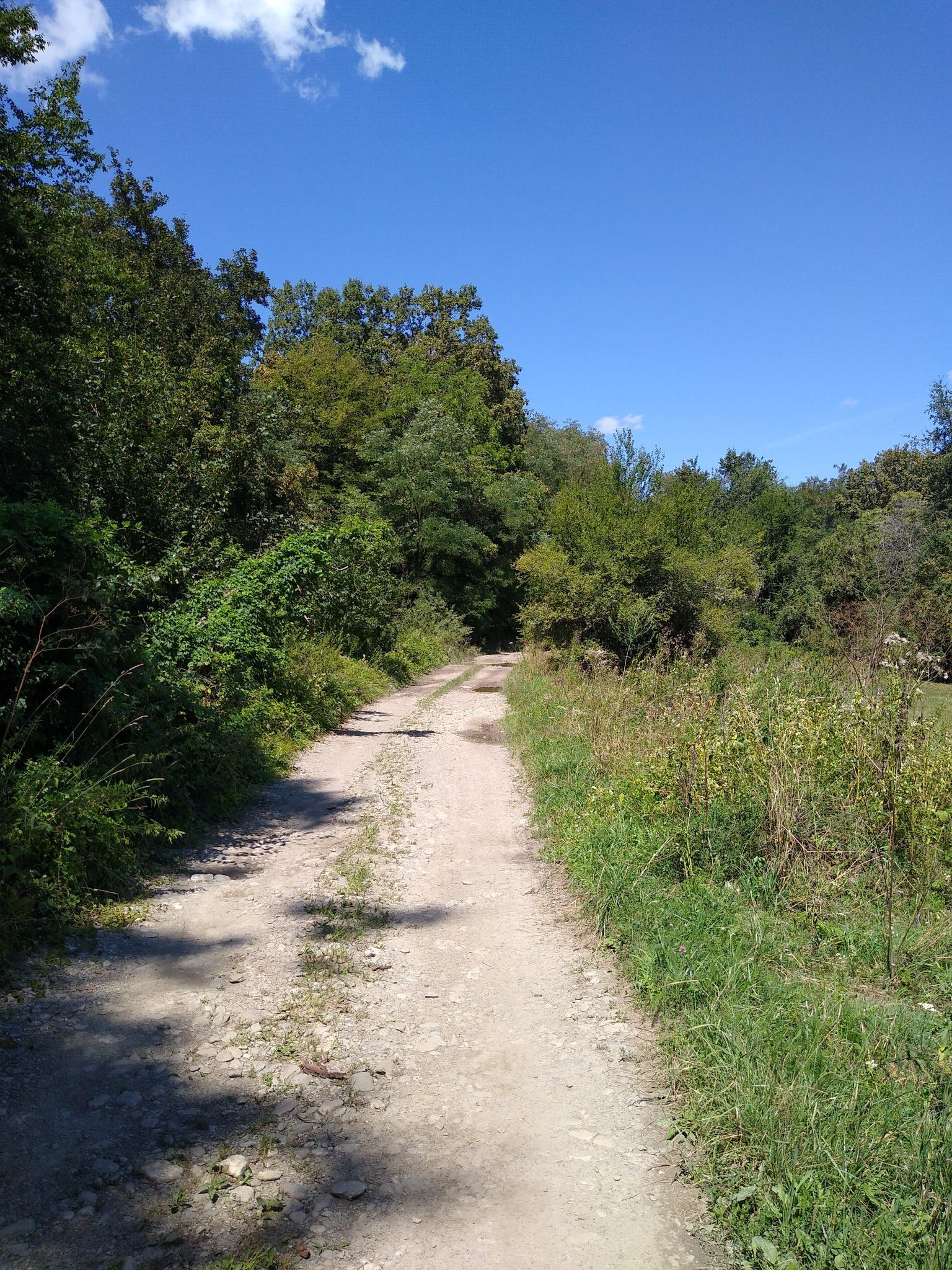 yellow road?!