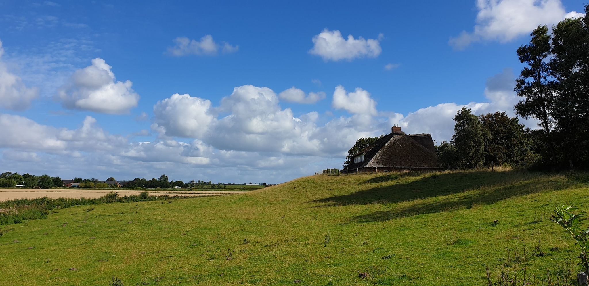 Finkhaus am Alten Deich (Husum)