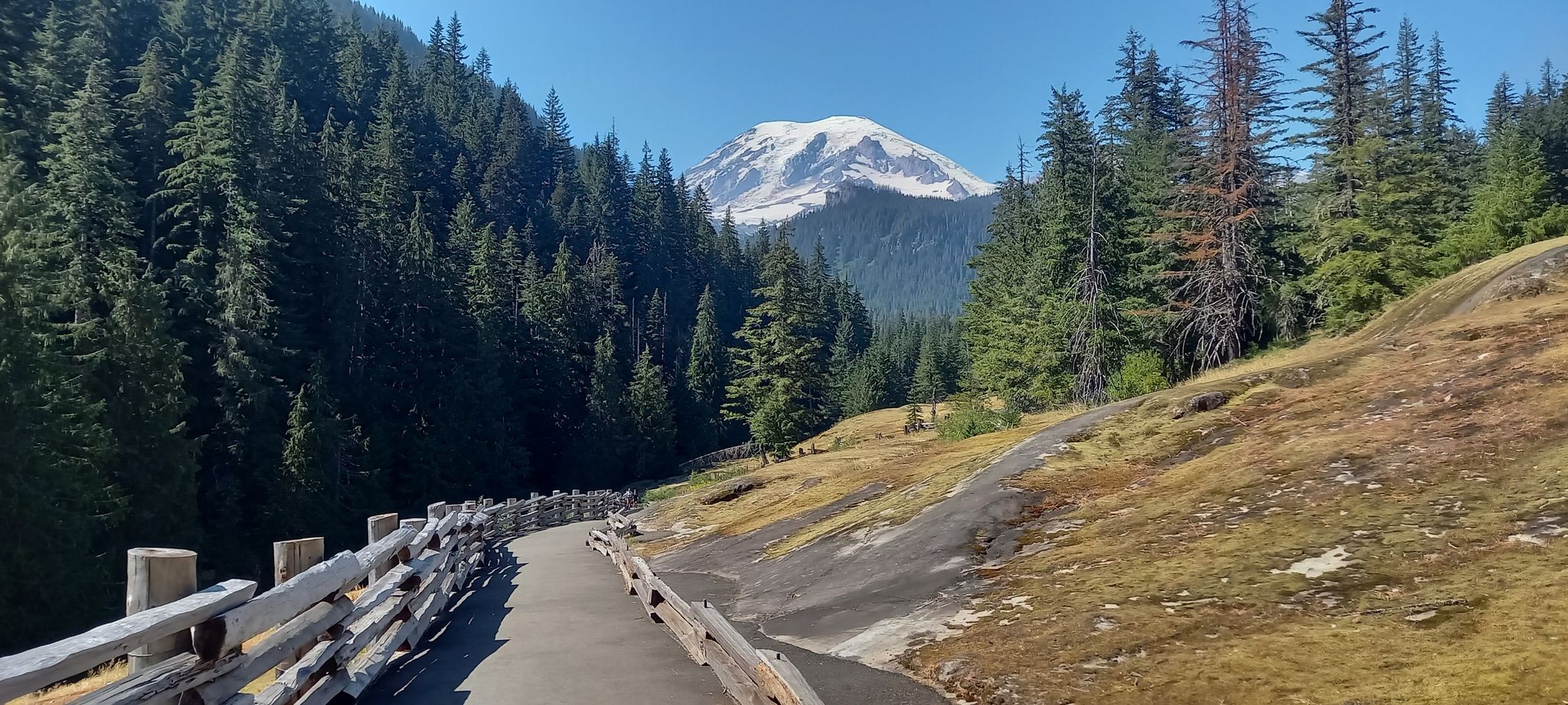 A paved path with a wooden fence winds through a forest towards a snow-capped mountain. - Box Canyon Trail