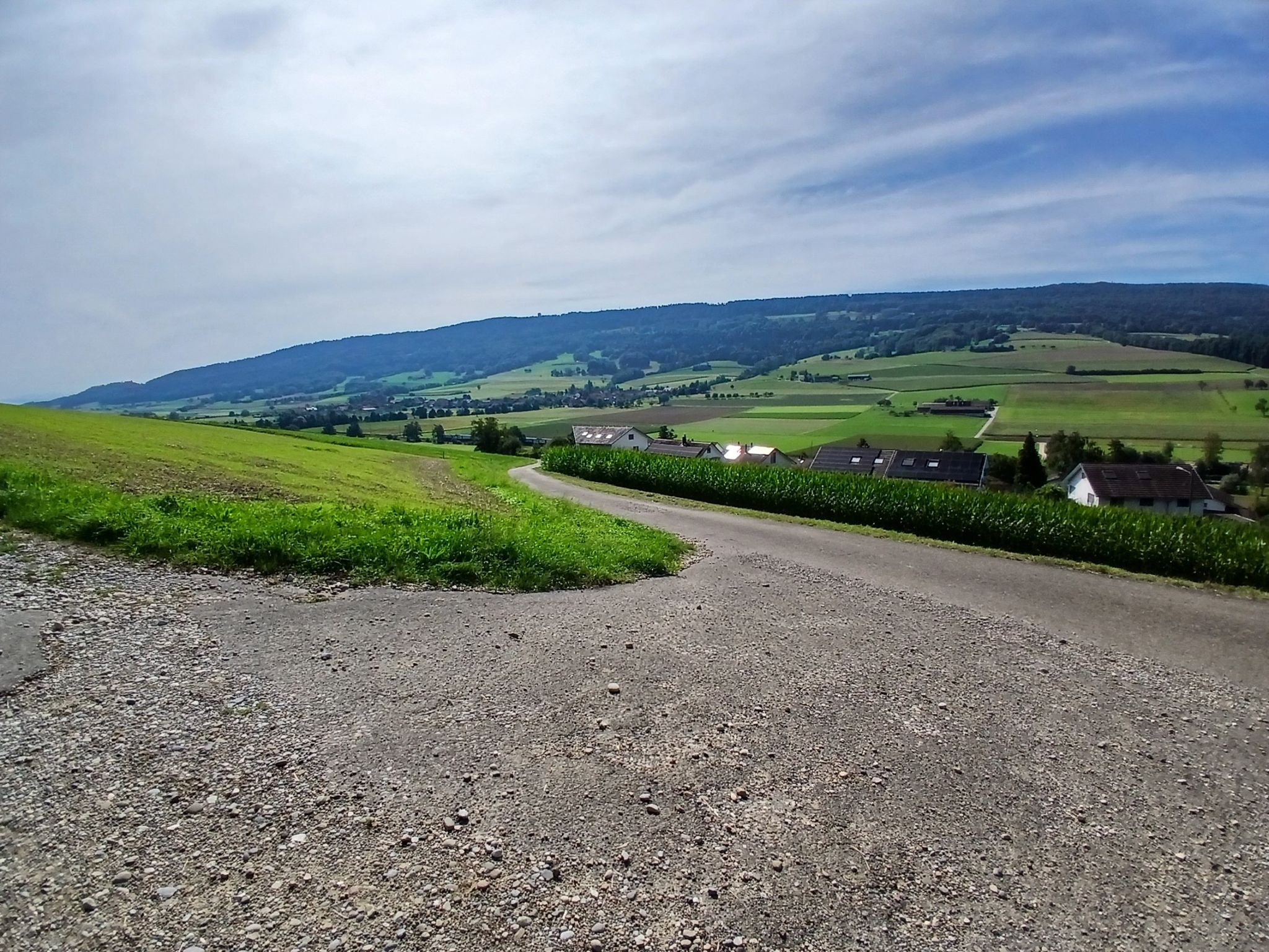 krüzig1