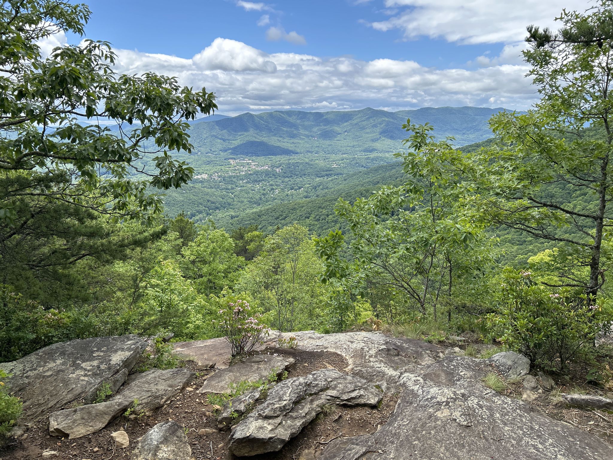 Panoramic view of a green mountain range and valley under a bright, cloudy sky. - Graybeard Mountain Loop