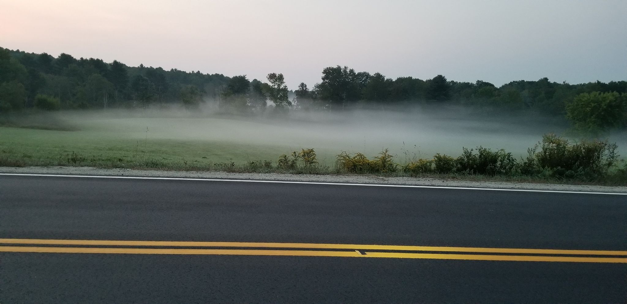 Misty field with distant trees next to a paved road at dawn. - Pineland Farms Garden – Cumberland loop from Cumberland