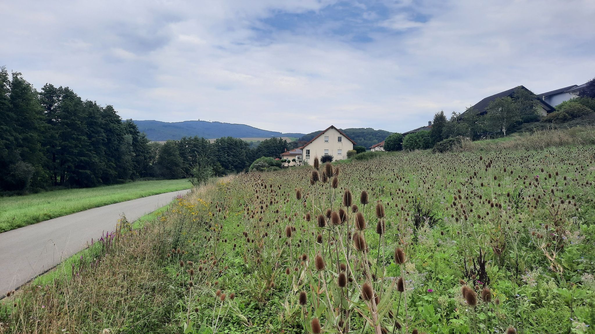 Radweg bei Matzenbach