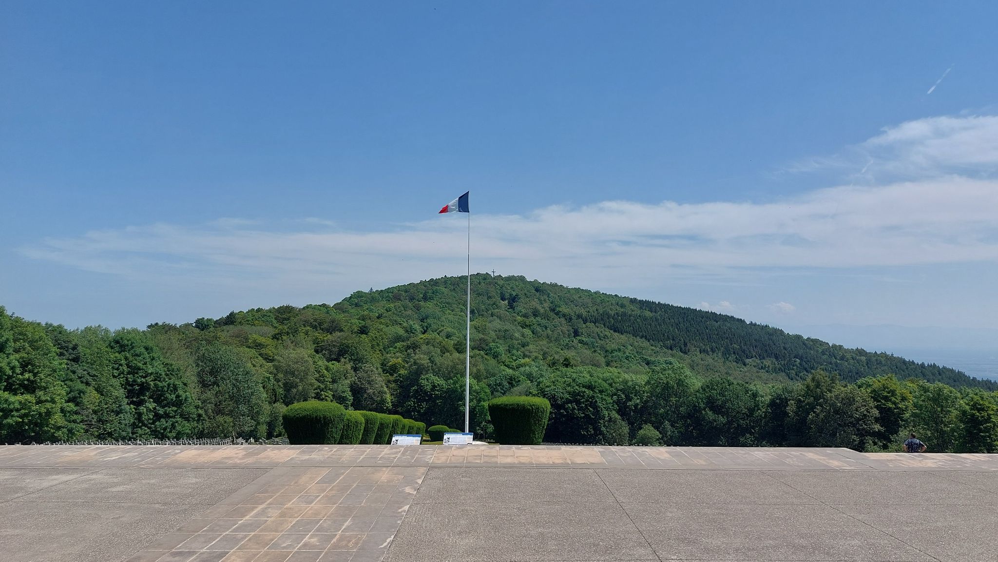 Im Hintergrund der Hartmannswillerkopf