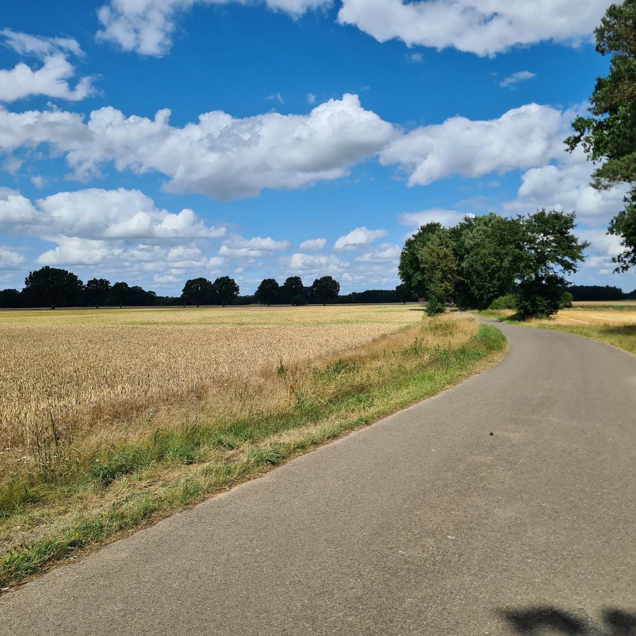 einfach nur wunderbar zu fahren