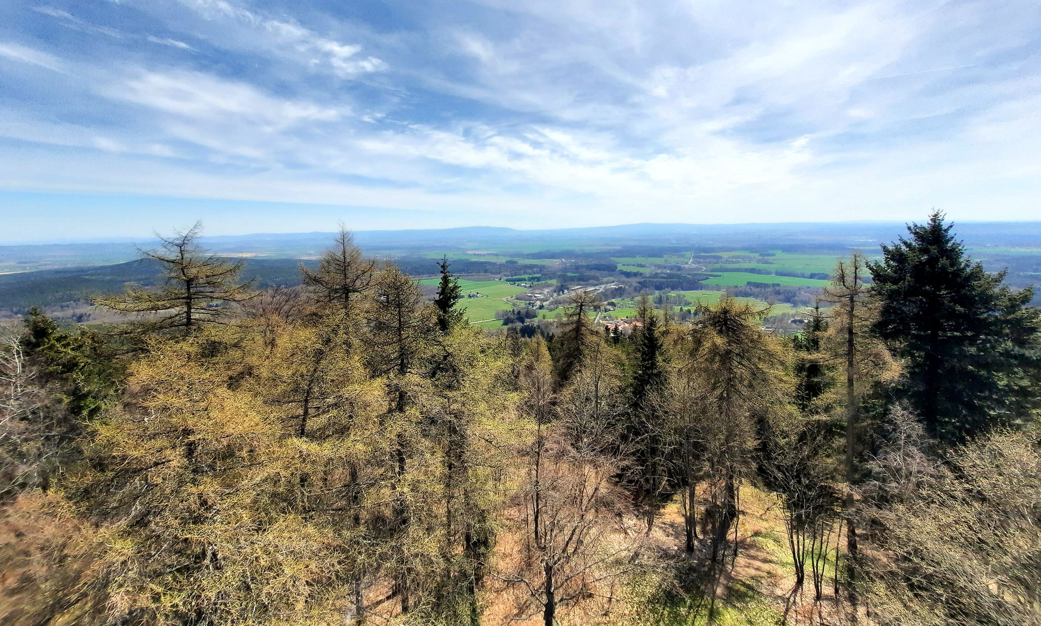 Aussicht vom Turm