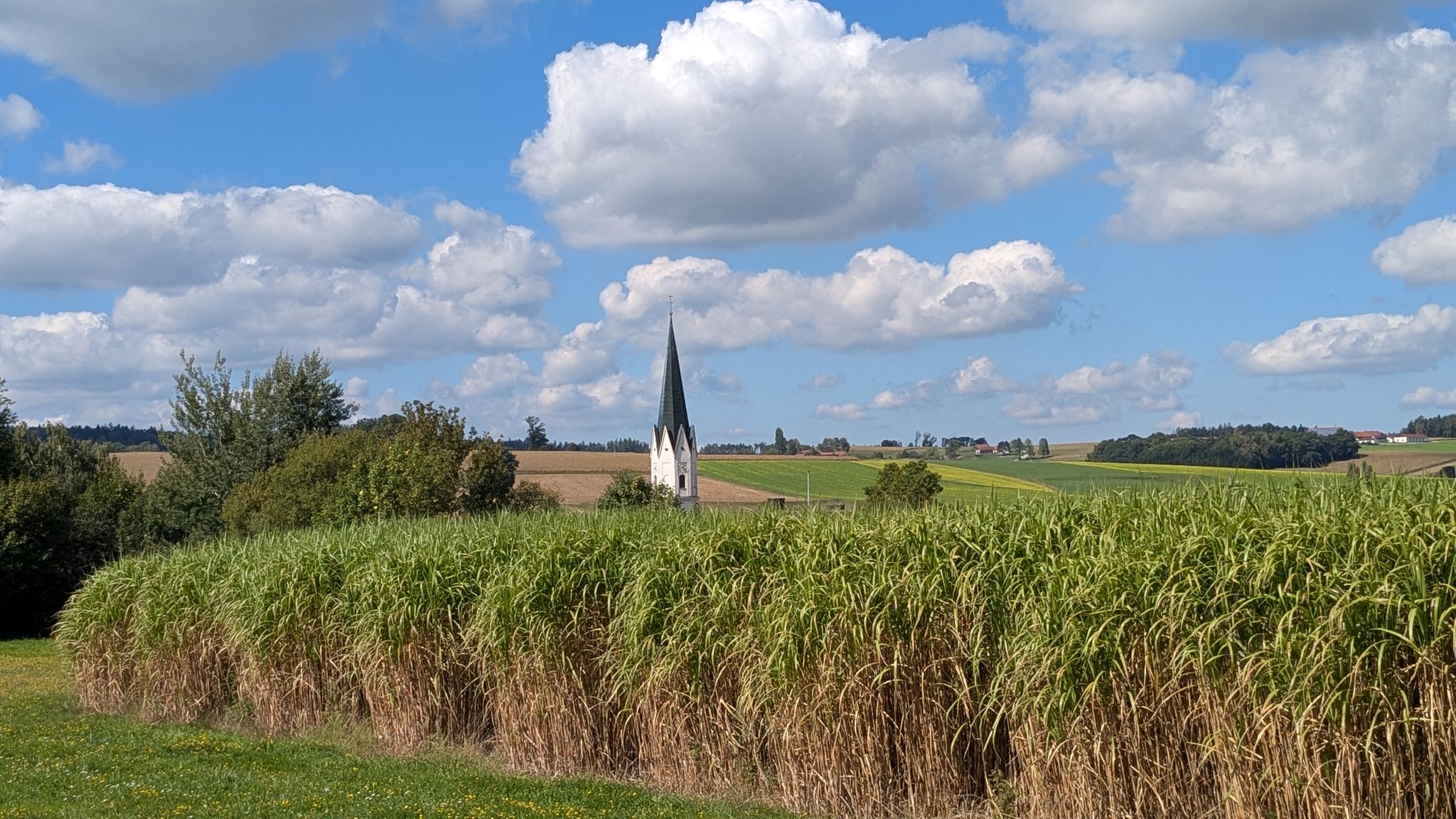 The church from Egglham