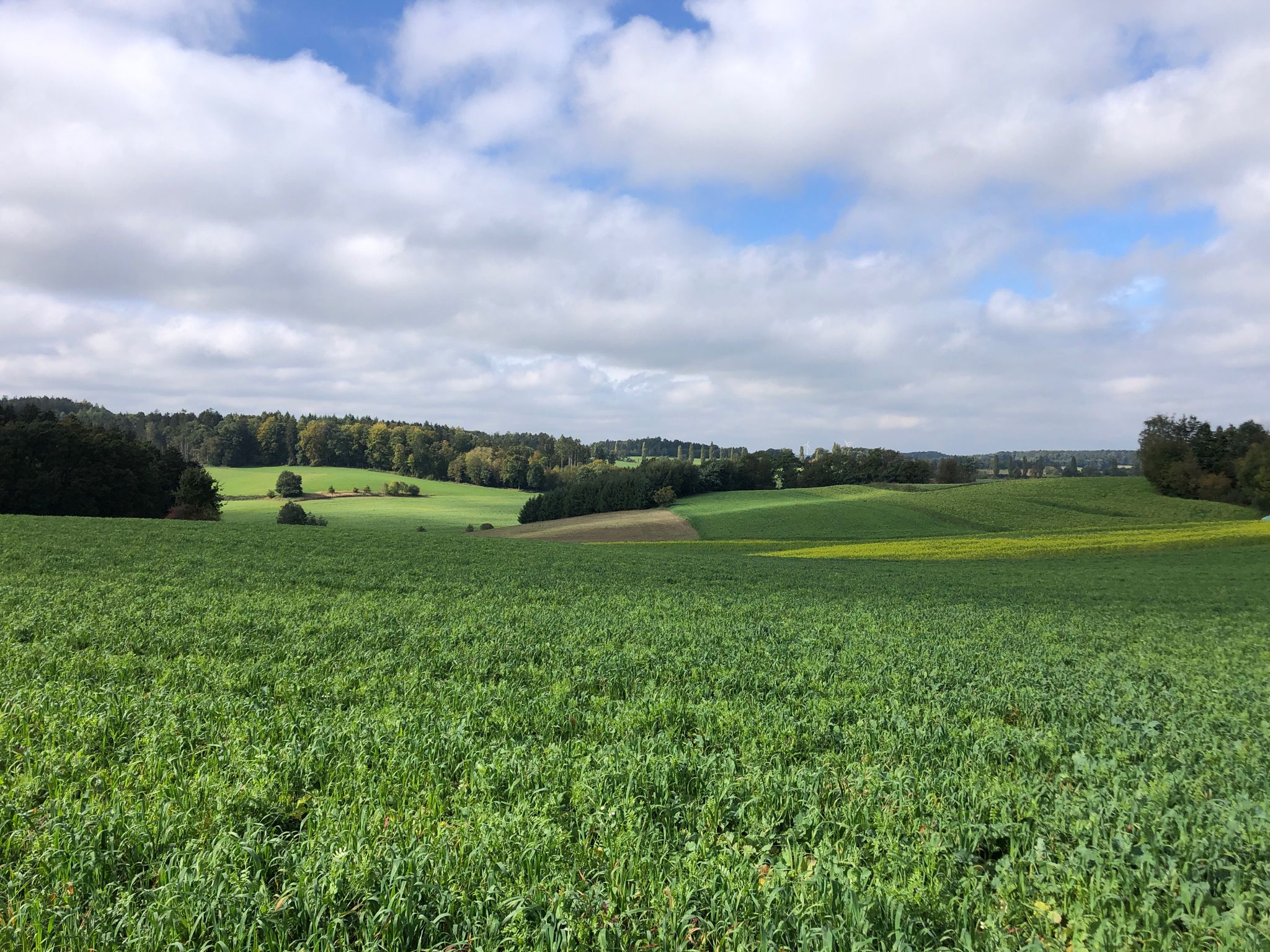 Landschaft bei Fernhag