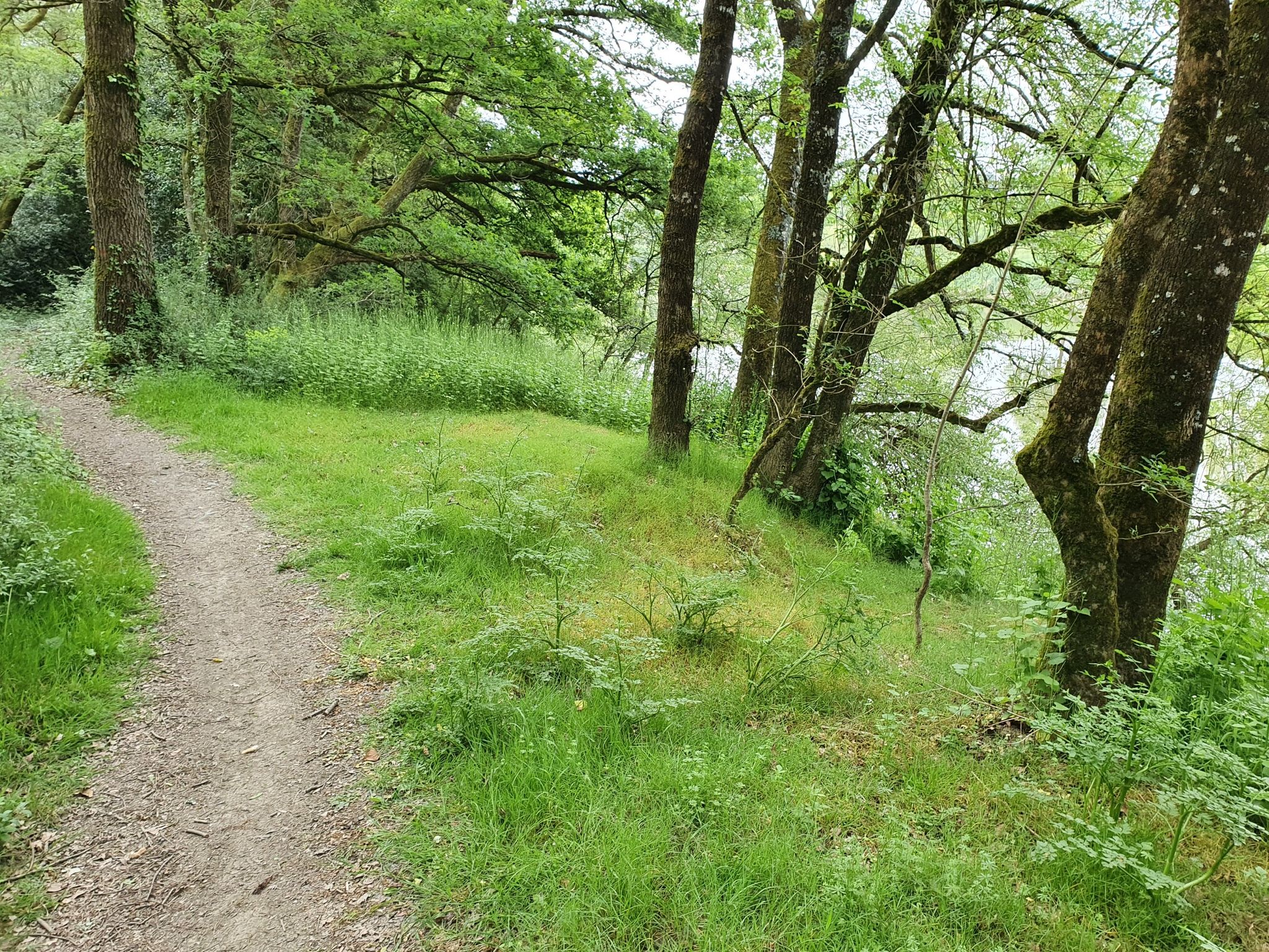 sentier en hauteur , vue sur la vilaine