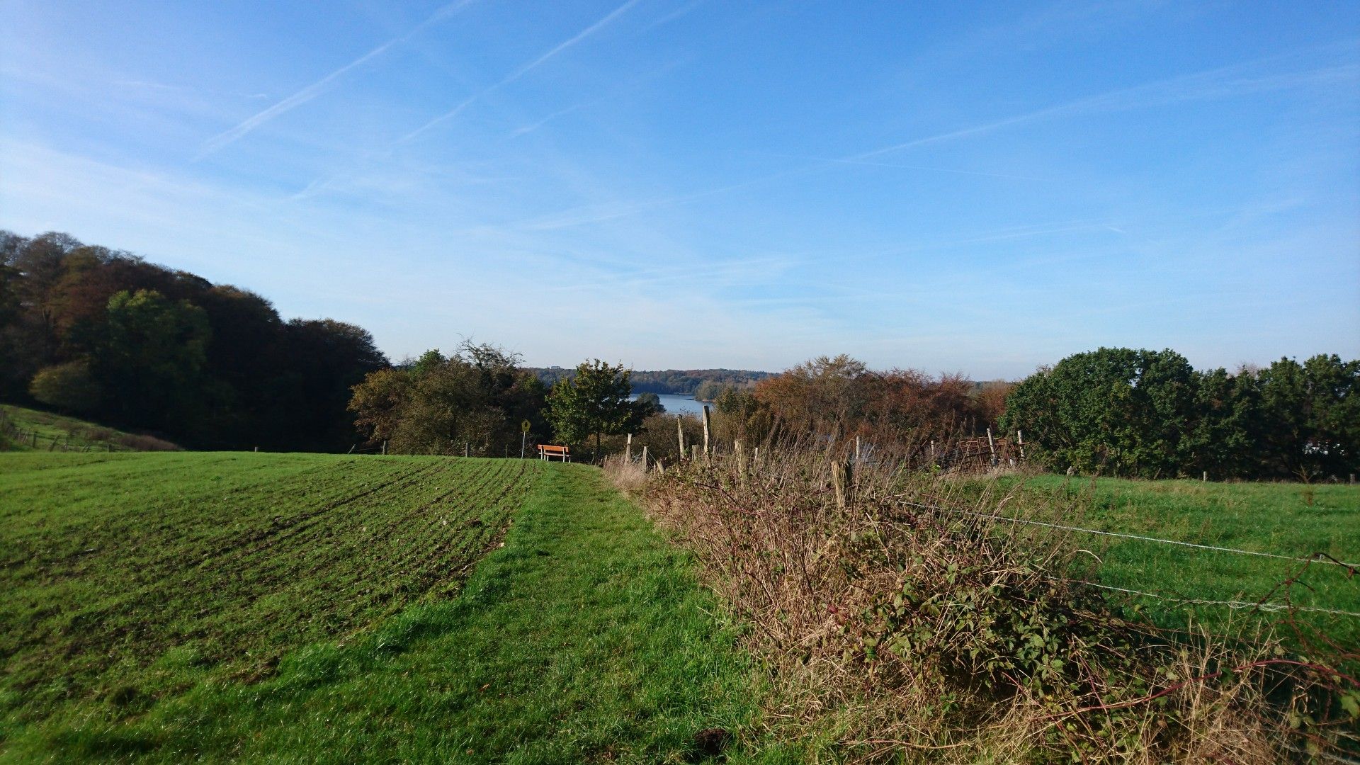 Blick auf den Suhrer See 