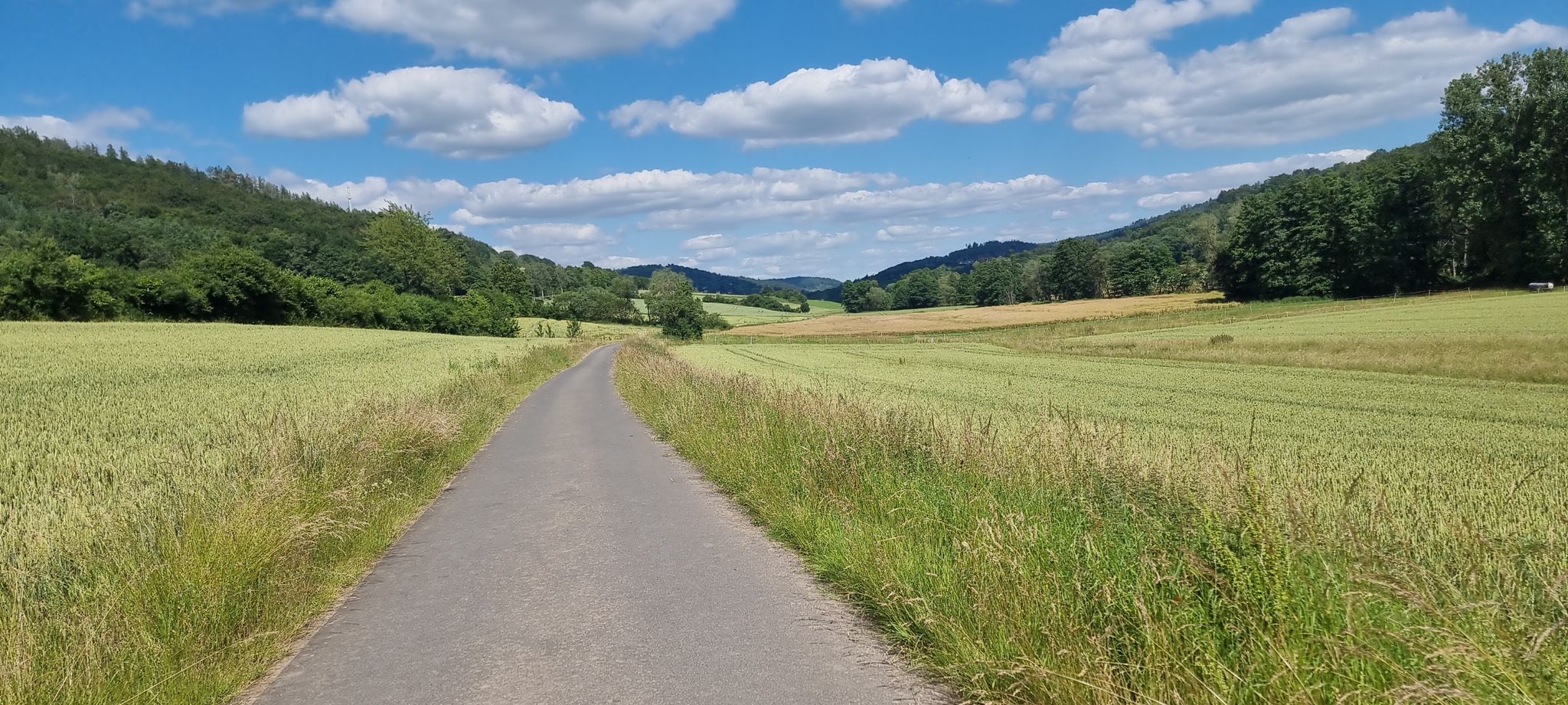 schöner Radweg