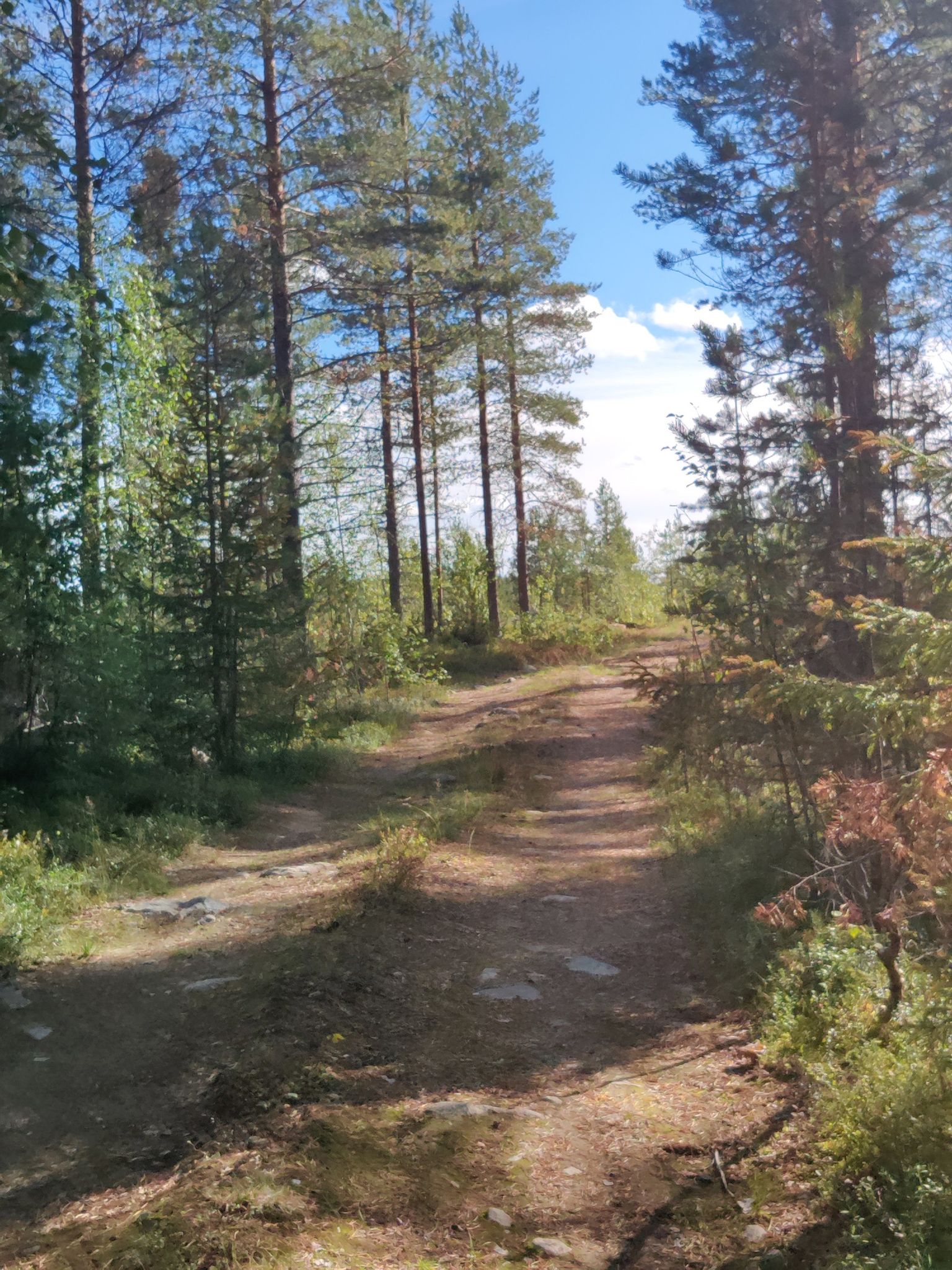 välipolku