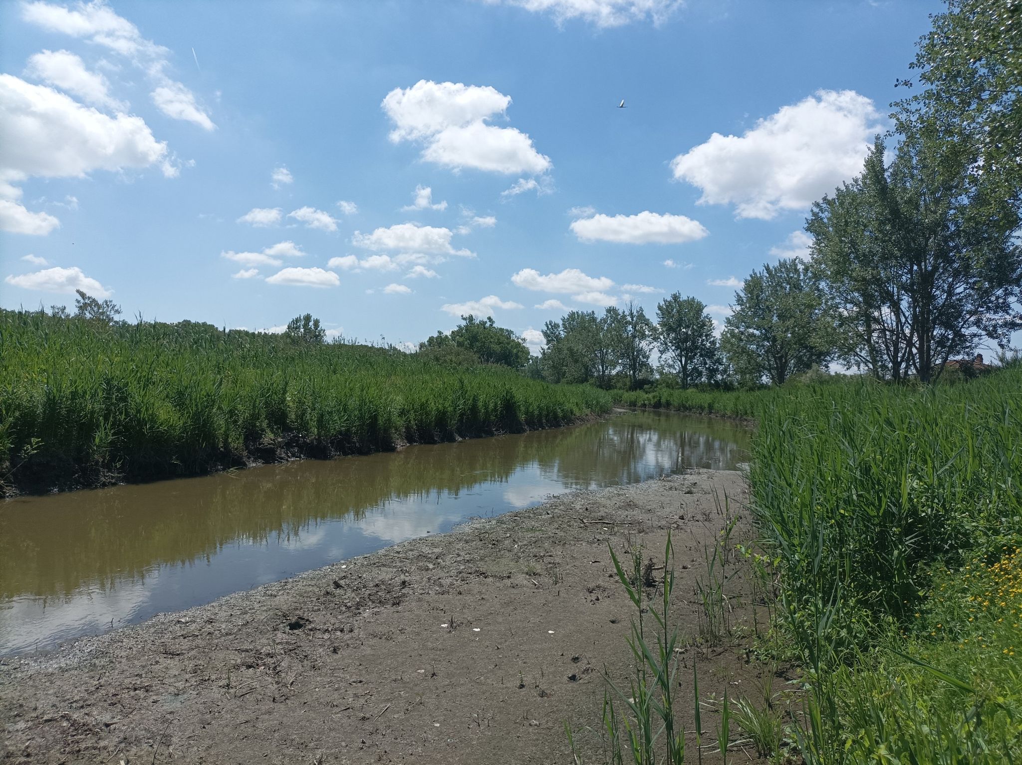 canale del Terzo