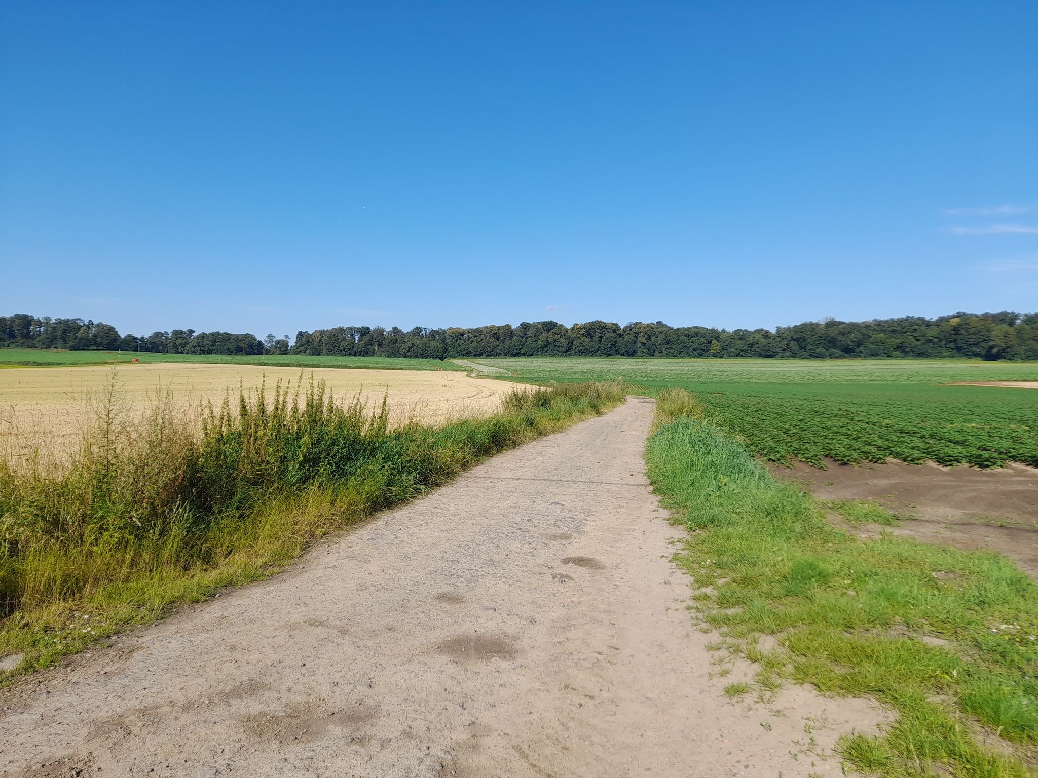 chemin centre historique minier lewarde