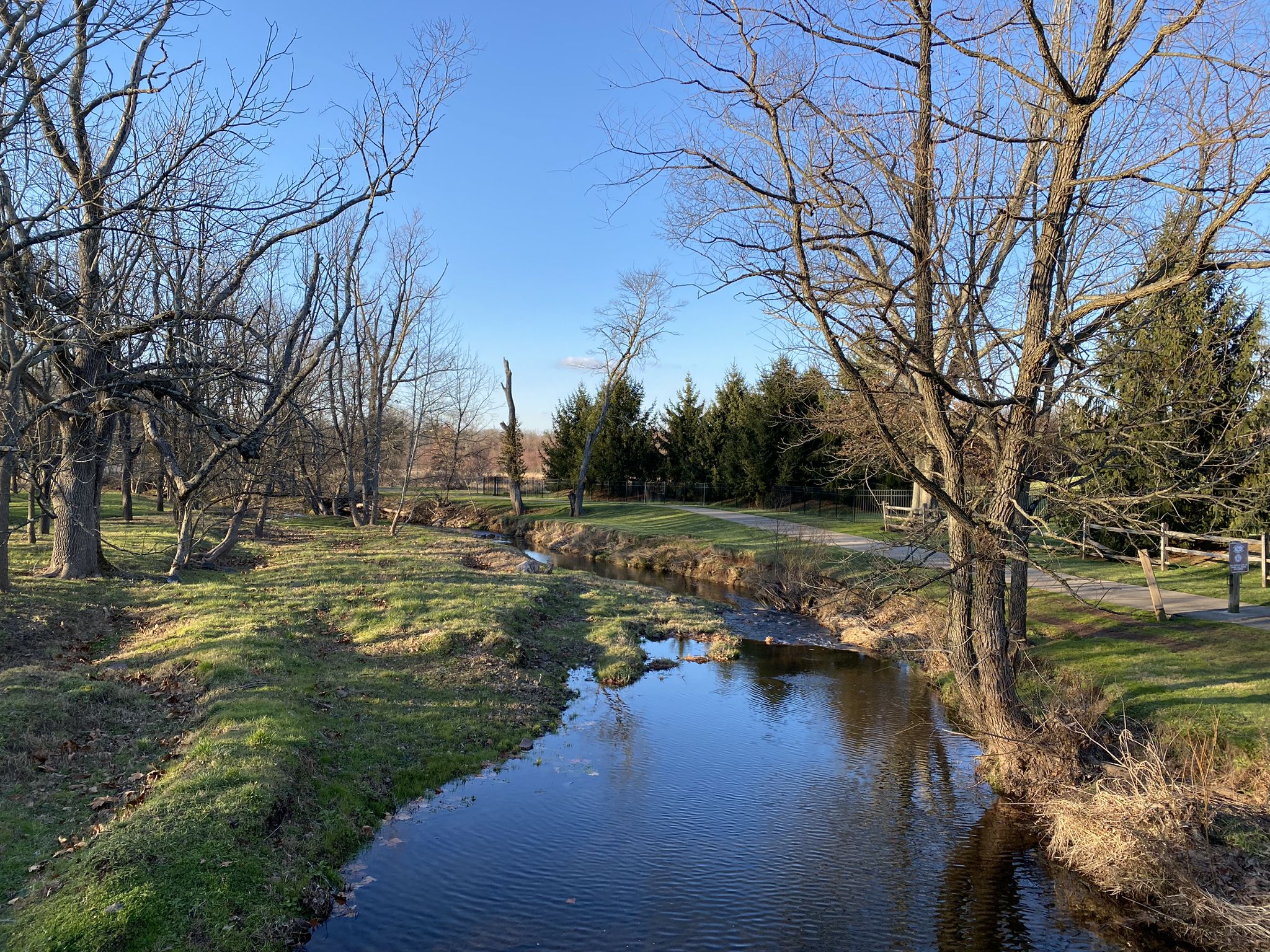 A winding stream flows through a sunny, grassy landscape with bare trees. - Zacharias Creek Trail