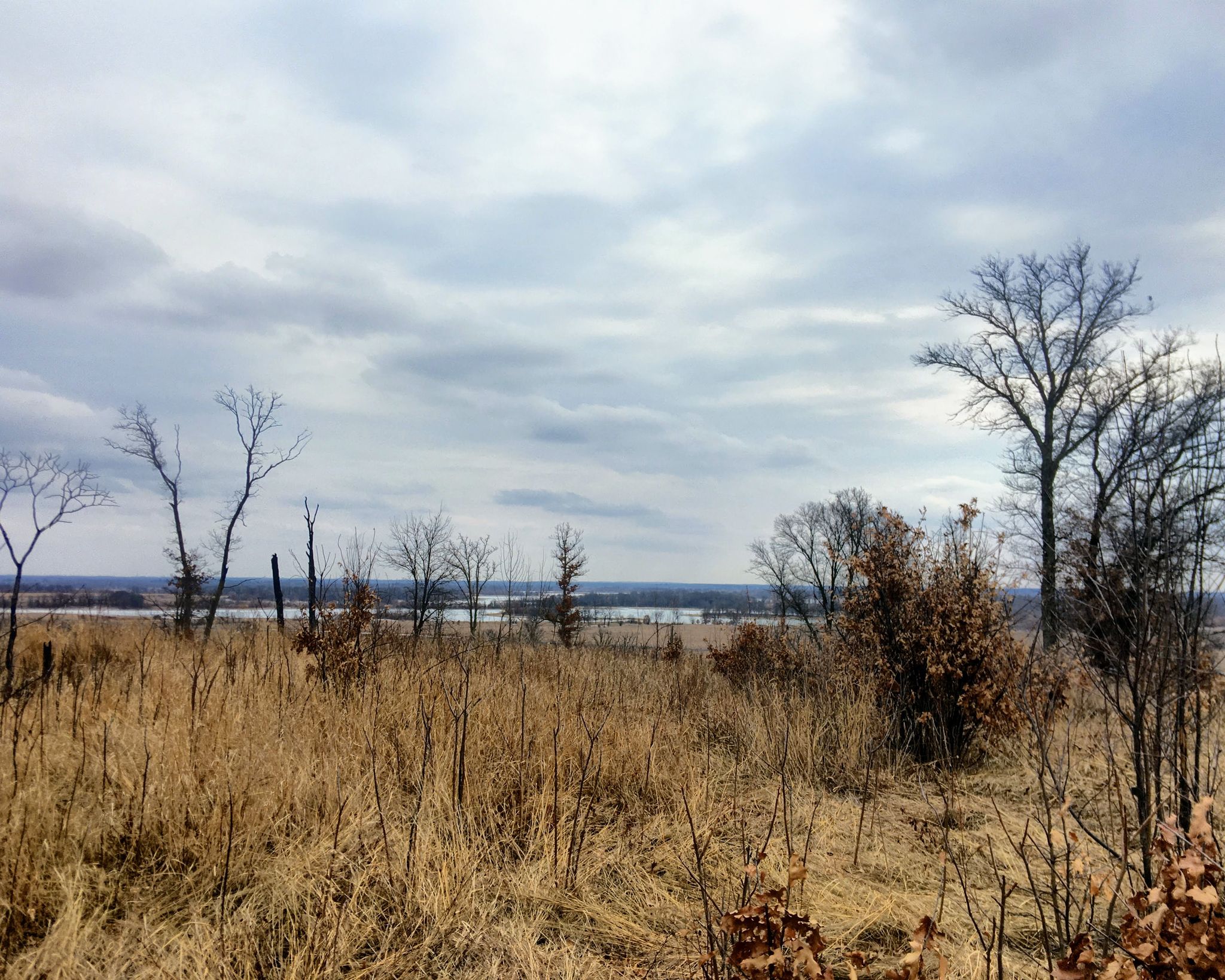 Wide view of dry golden grass, bare trees, and distant water under cloudy sky. - Blue Hill Trail