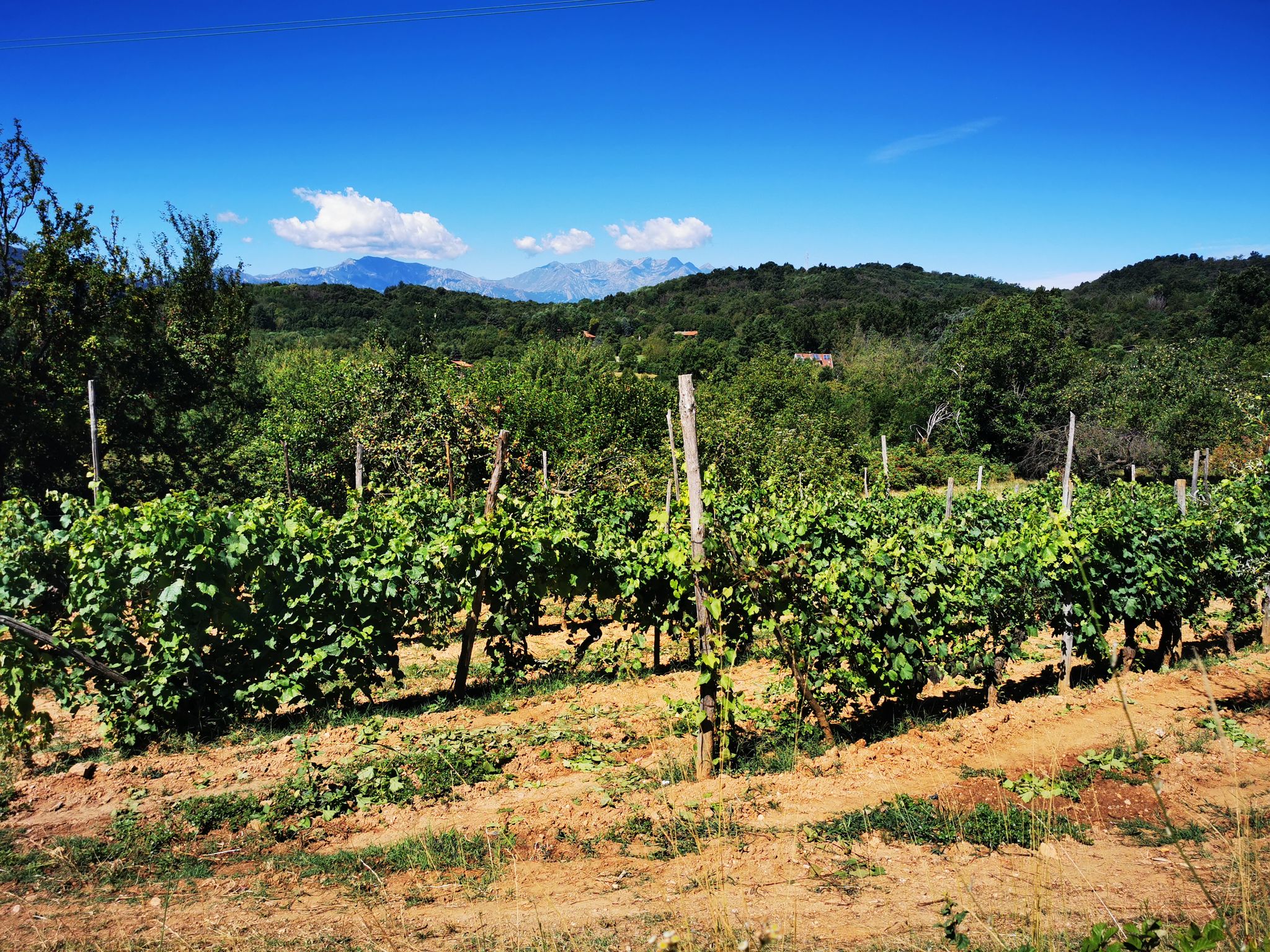 Vista della cresta della collina Morenica appena percorsa