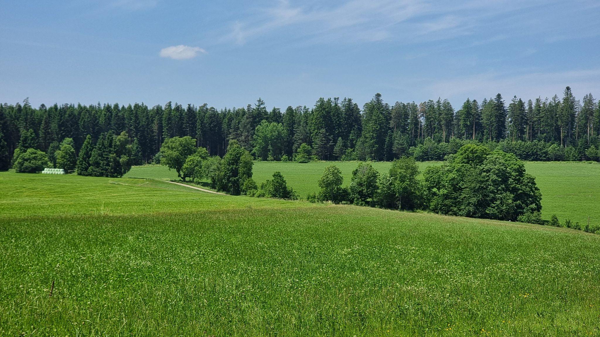 Breitbrunnen