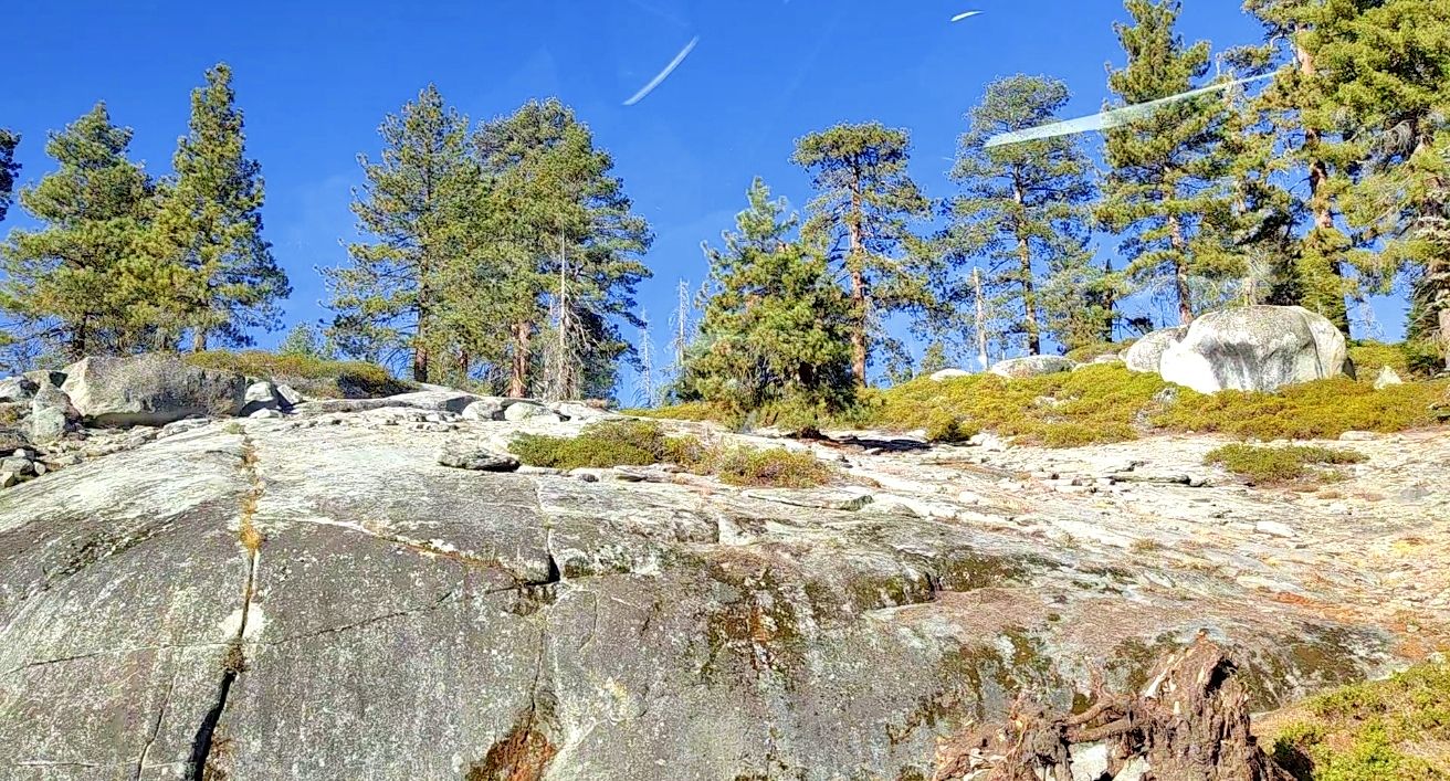 A sunny rocky outcrop with sparse vegetation and pine trees under blue sky. - Manzanita and Azalea Trail