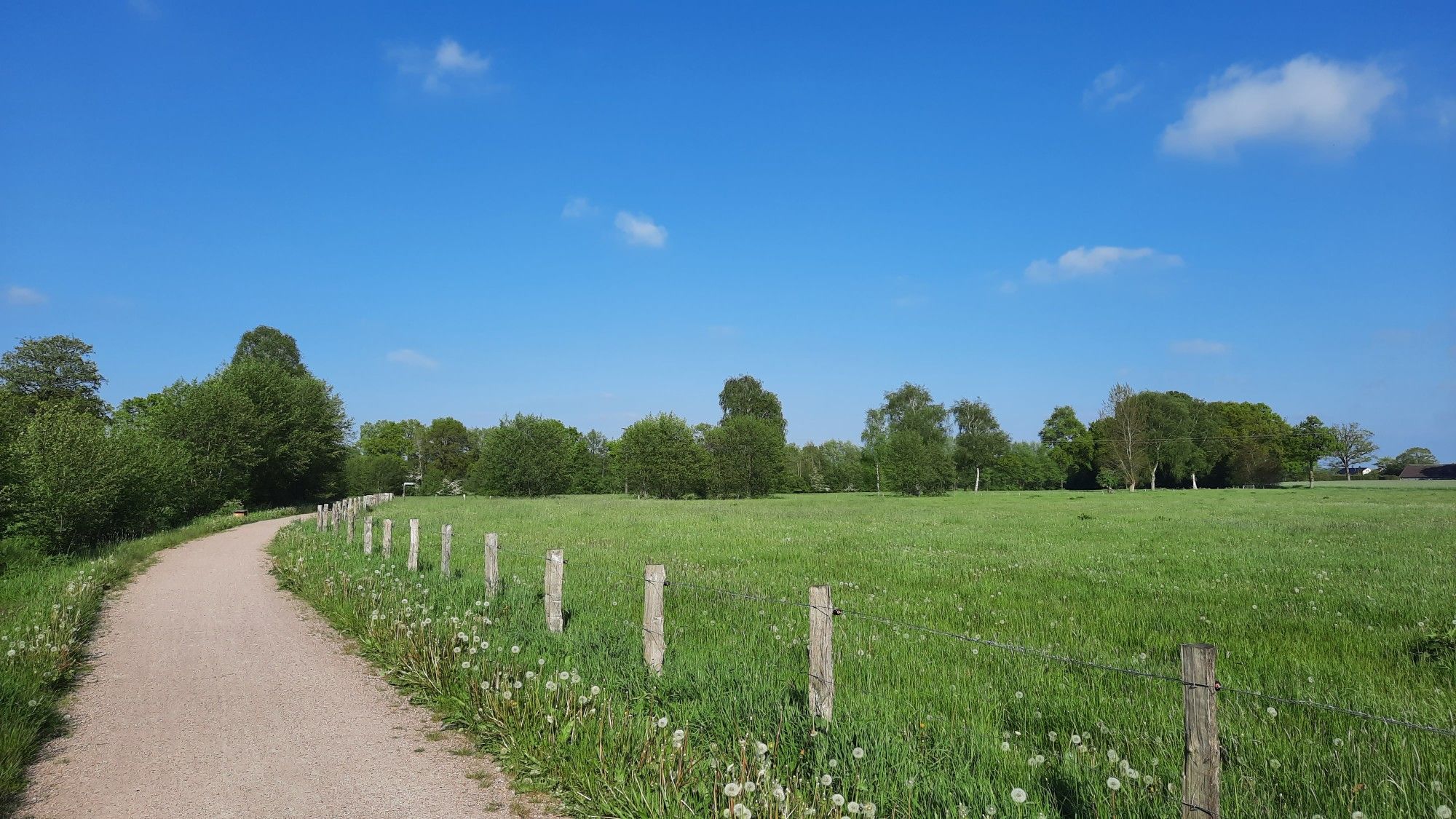 Krücken-Wanderweg bei Heede