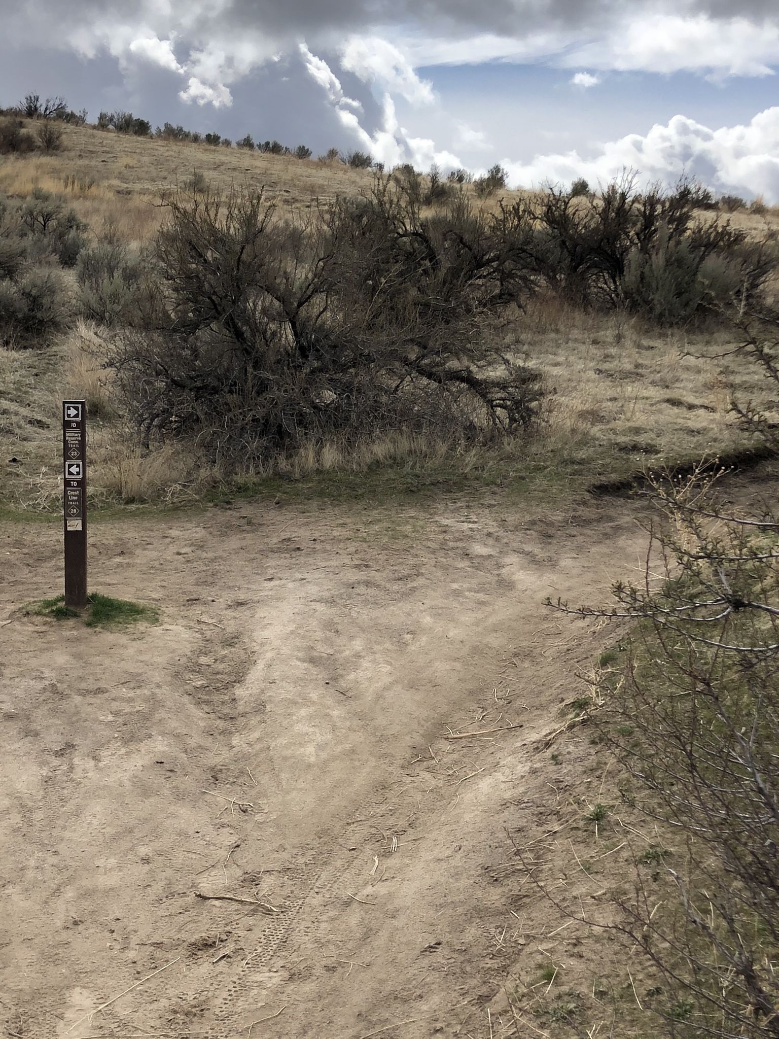 Dirt trail forks near a sign on a cloudy, brushy hillside. - Kestrel to Mountain Cove Trail