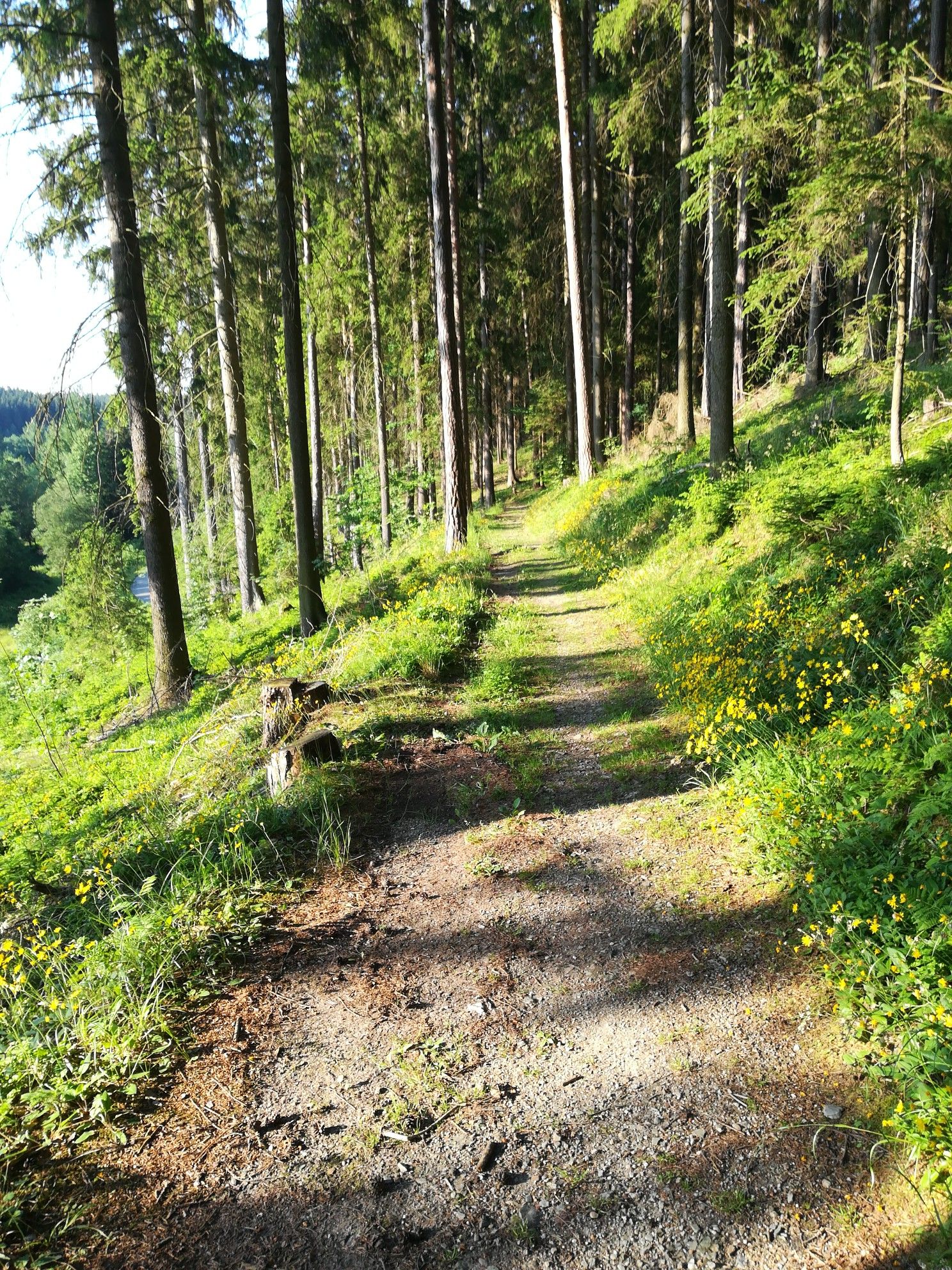 Off Road